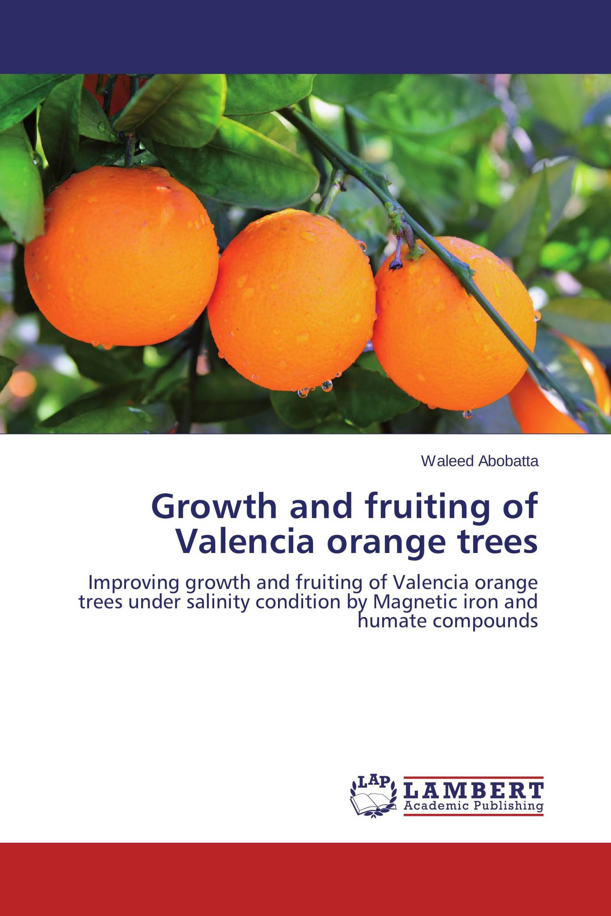 Growth and fruiting of Valencia orange trees