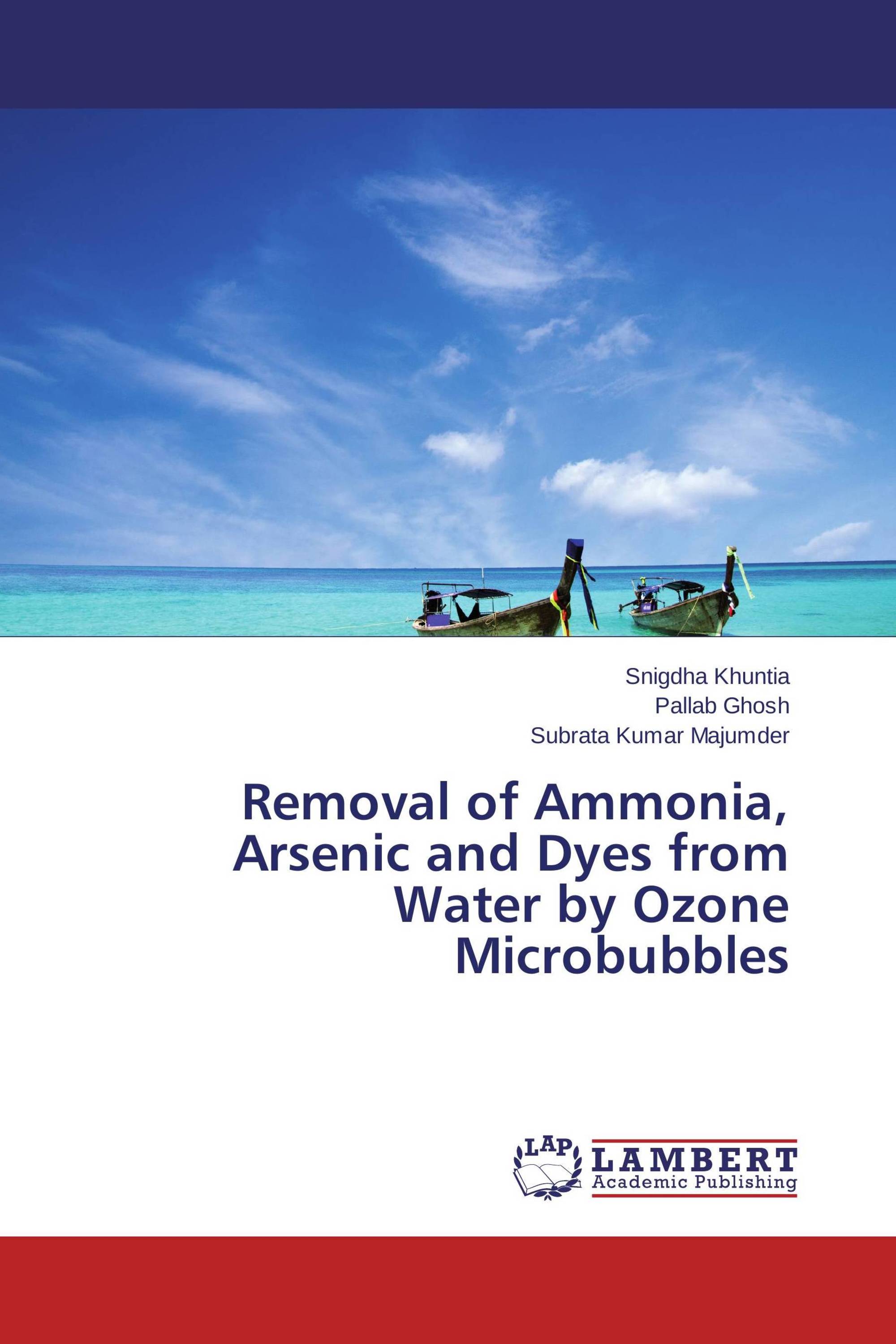 Removal of Ammonia, Arsenic and Dyes from Water by Ozone Microbubbles