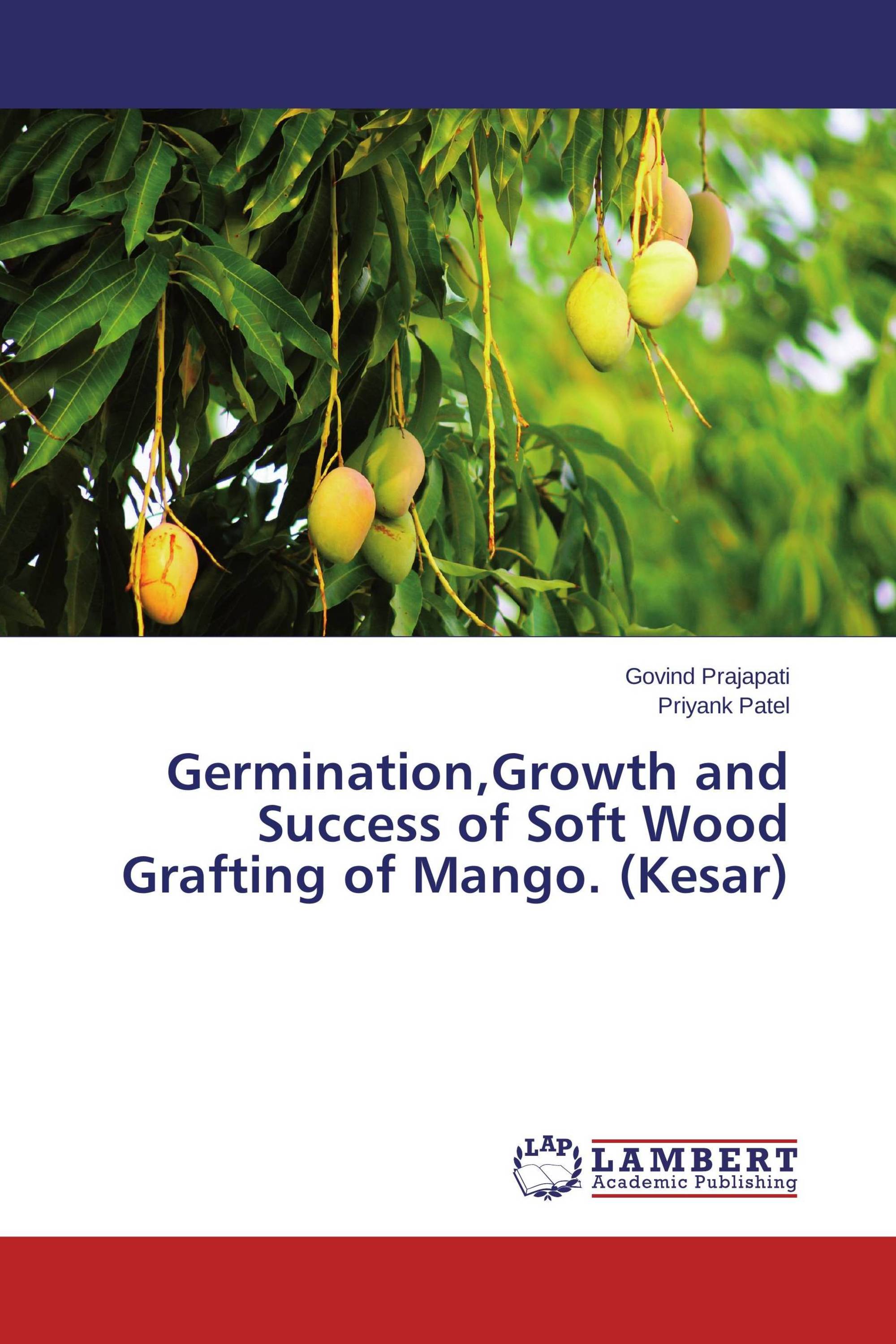 Germination,Growth and Success of Soft Wood Grafting of Mango. (Kesar)