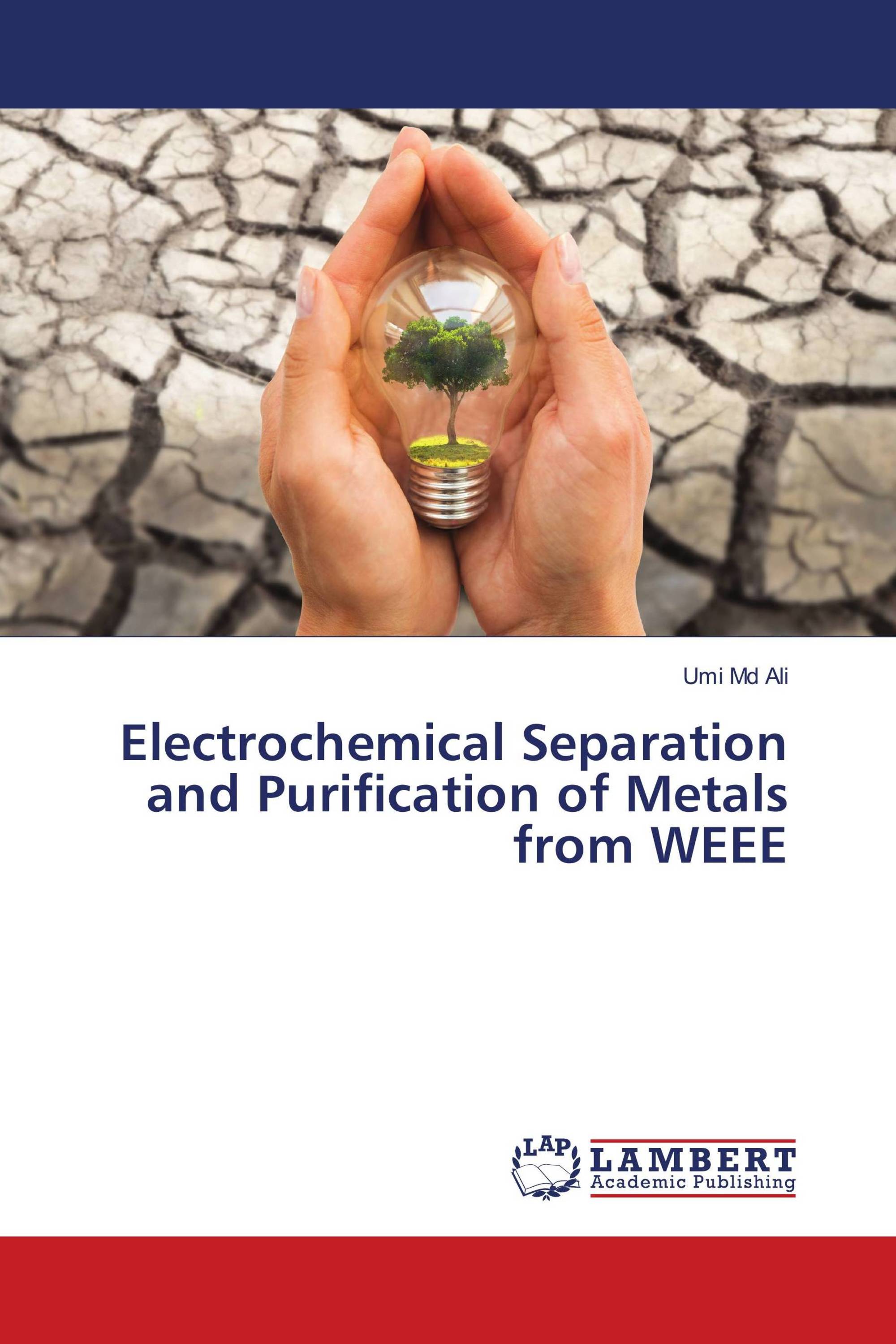 Electrochemical Separation and Purification of Metals from WEEE