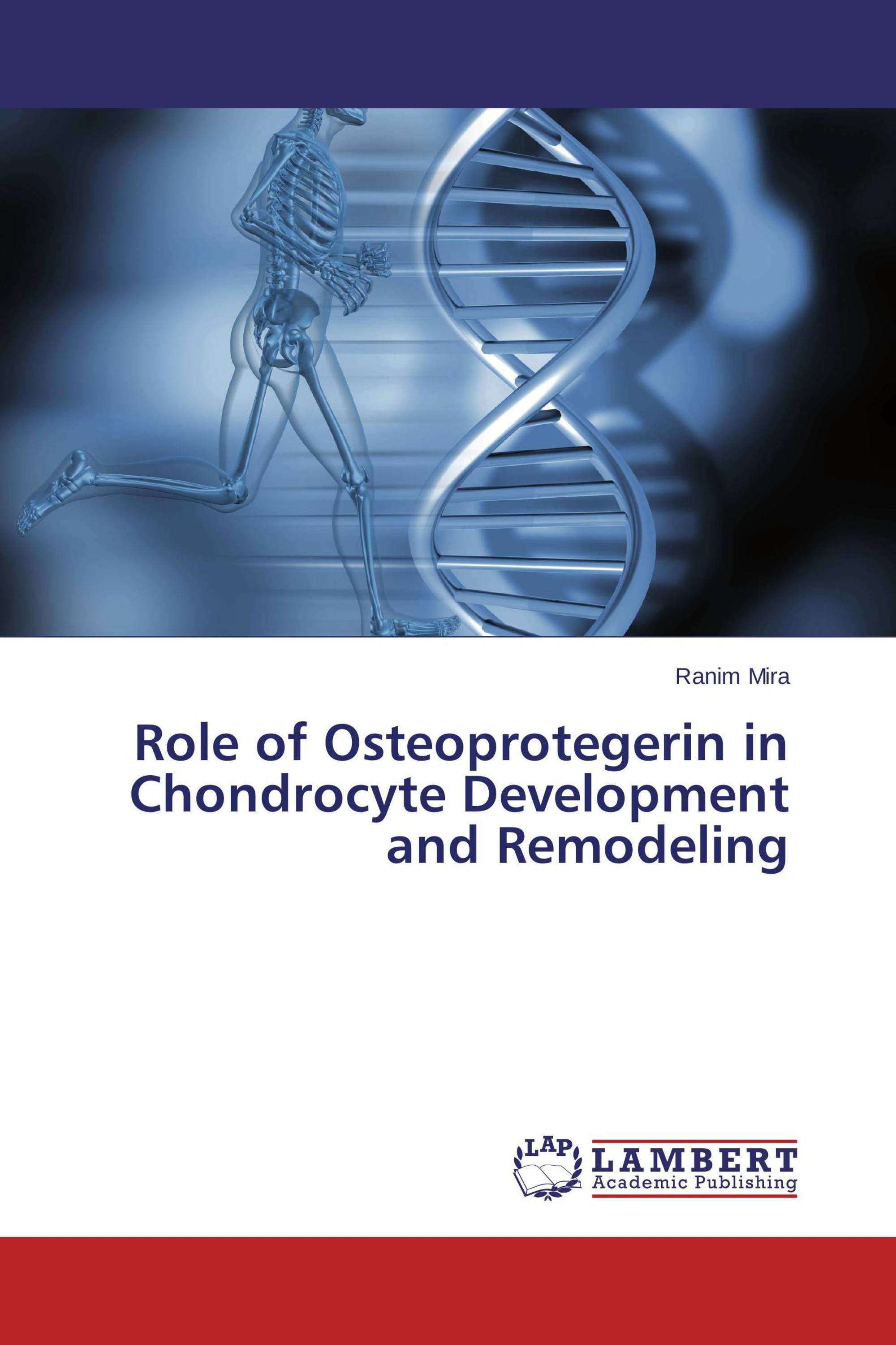 Role of Osteoprotegerin in Chondrocyte Development and Remodeling