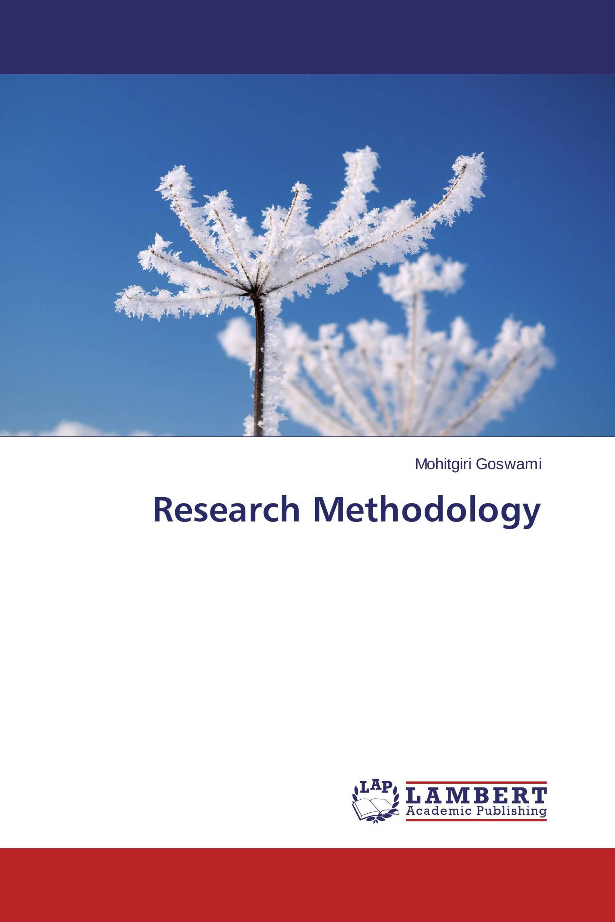 methodology-meaning