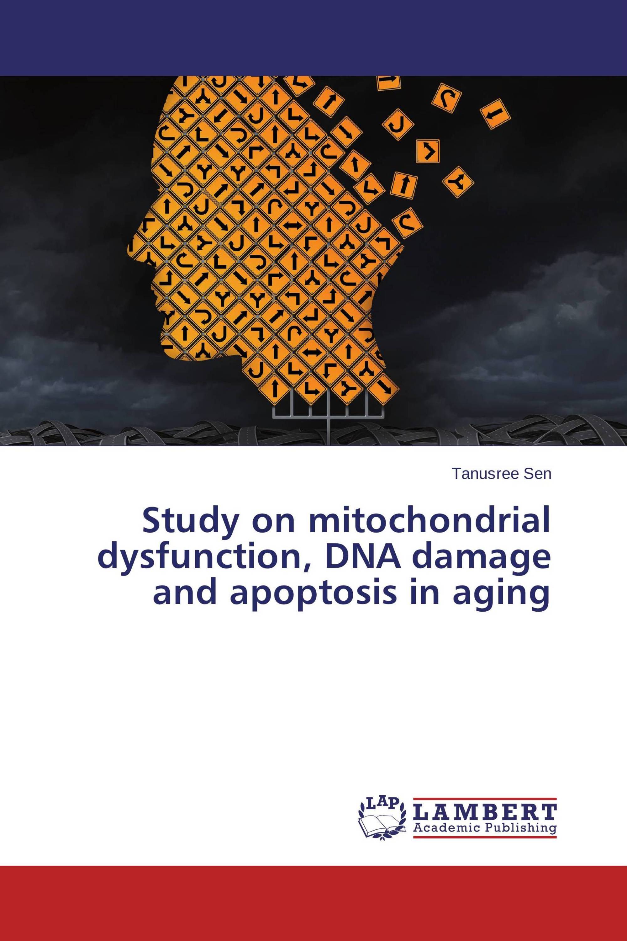 Study on mitochondrial dysfunction, DNA damage and apoptosis in aging