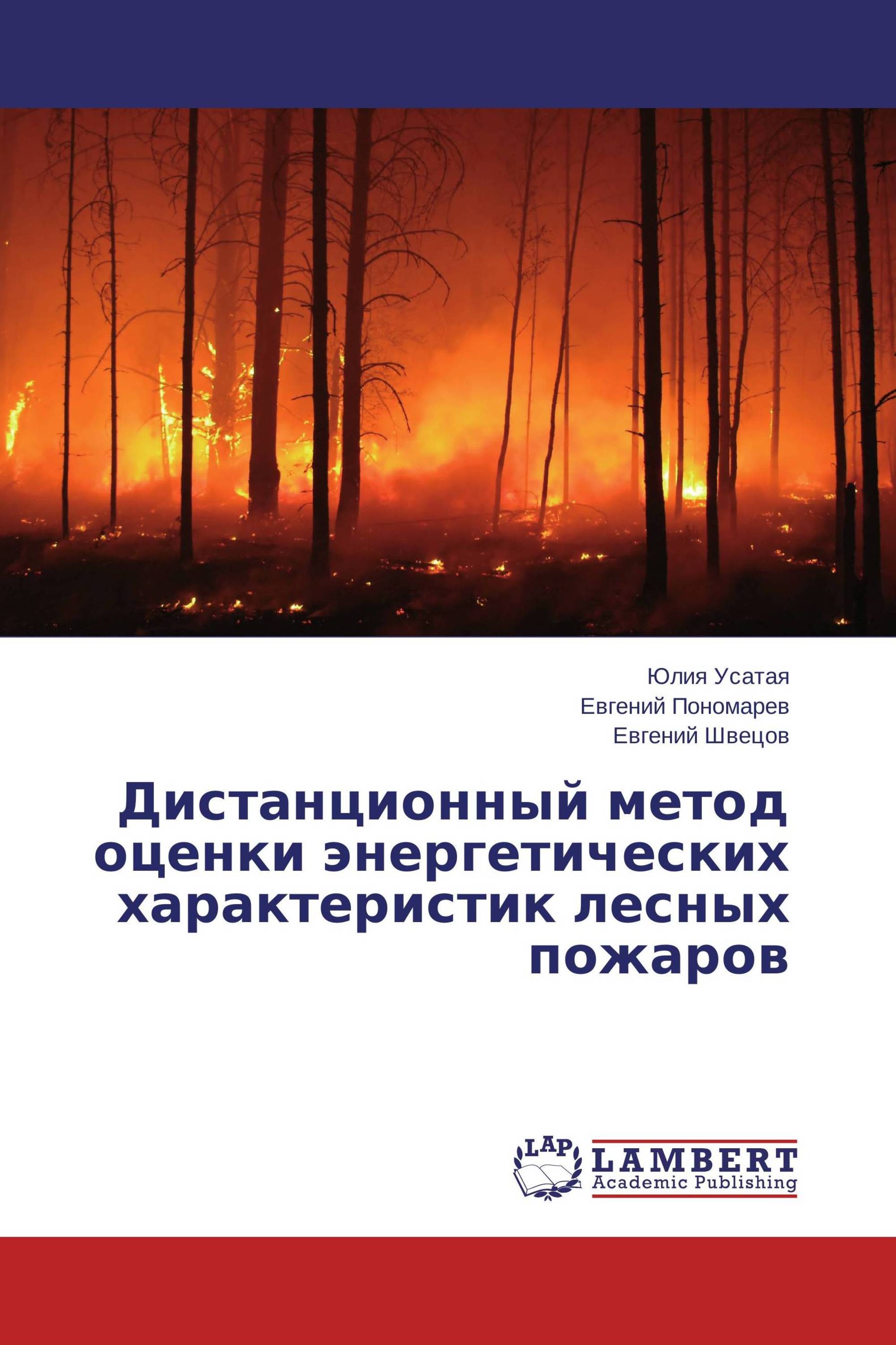 Дистанционный метод оценки энергетических характеристик лесных пожаров