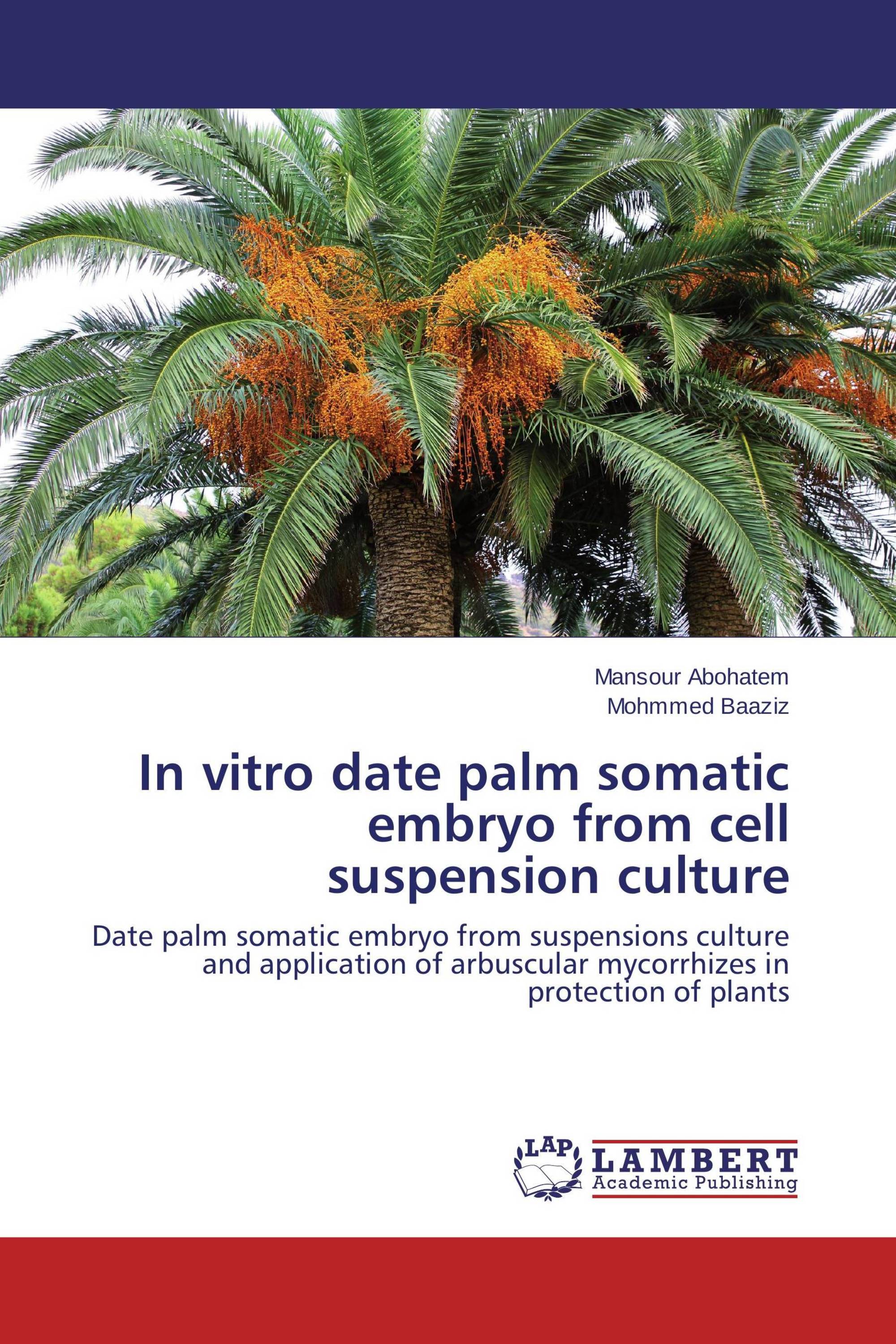 In vitro date palm somatic embryo from cell suspension ...