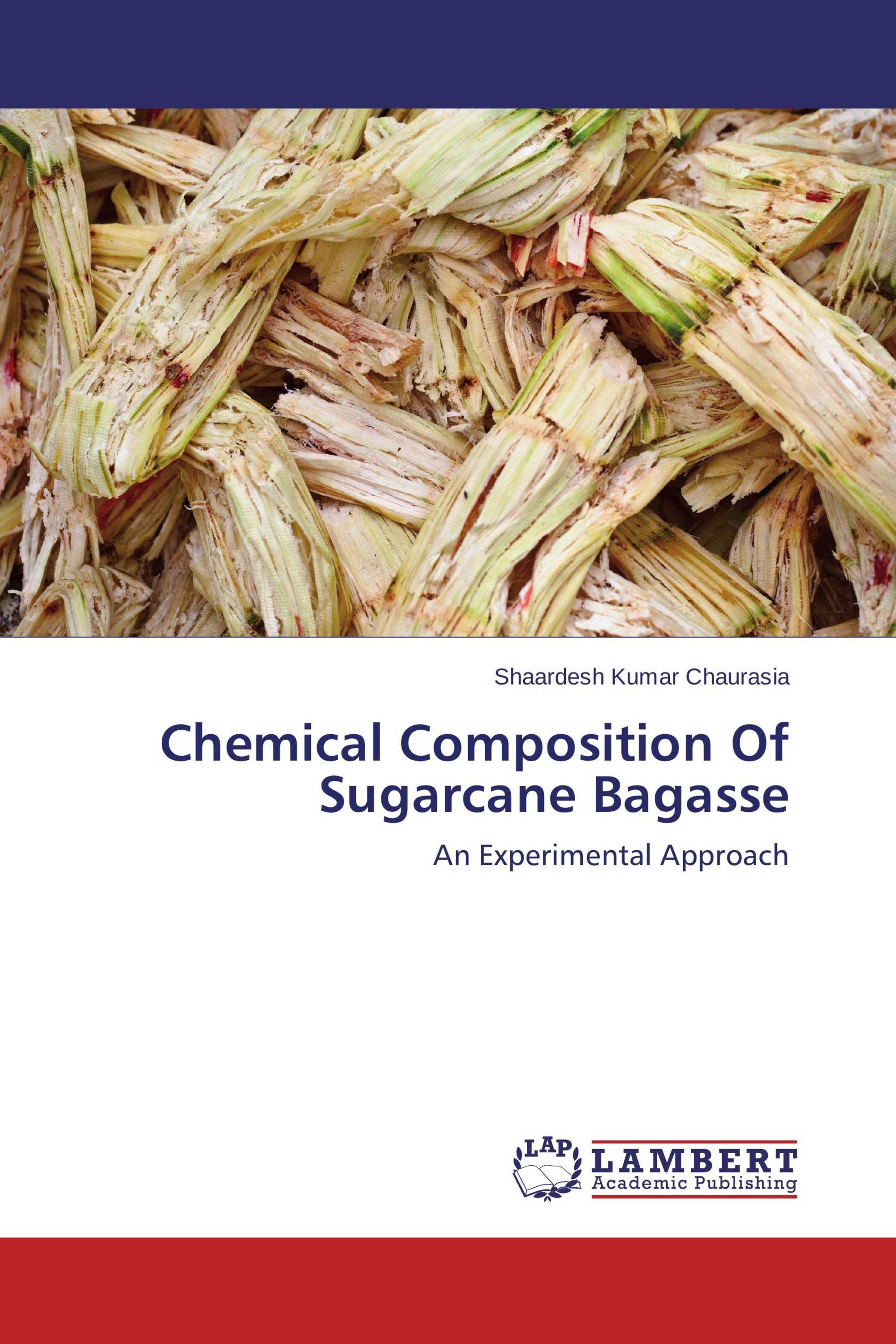 Biodiesel from sugarcane waste picture