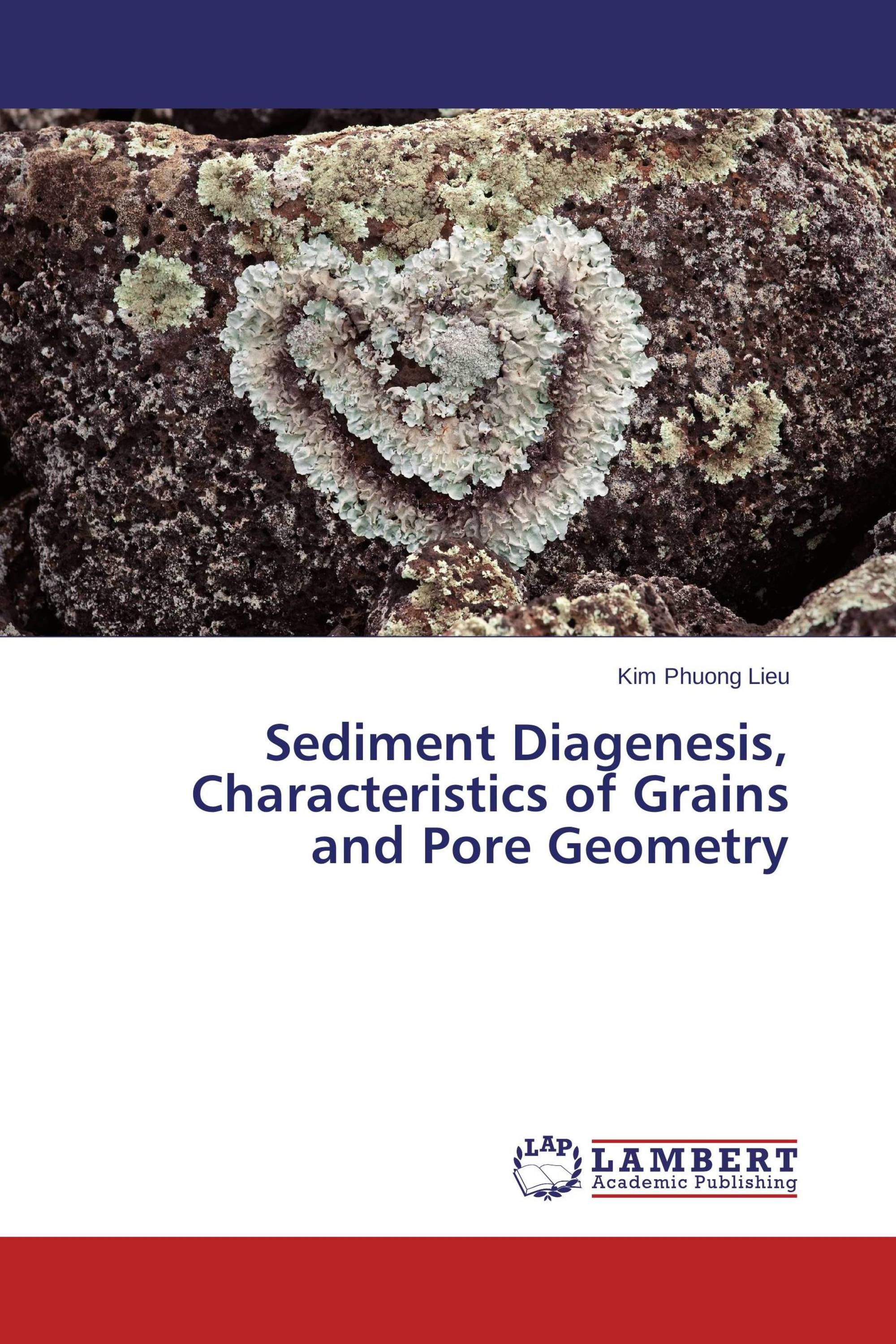 Sediment Diagenesis, Characteristics of Grains and Pore Geometry