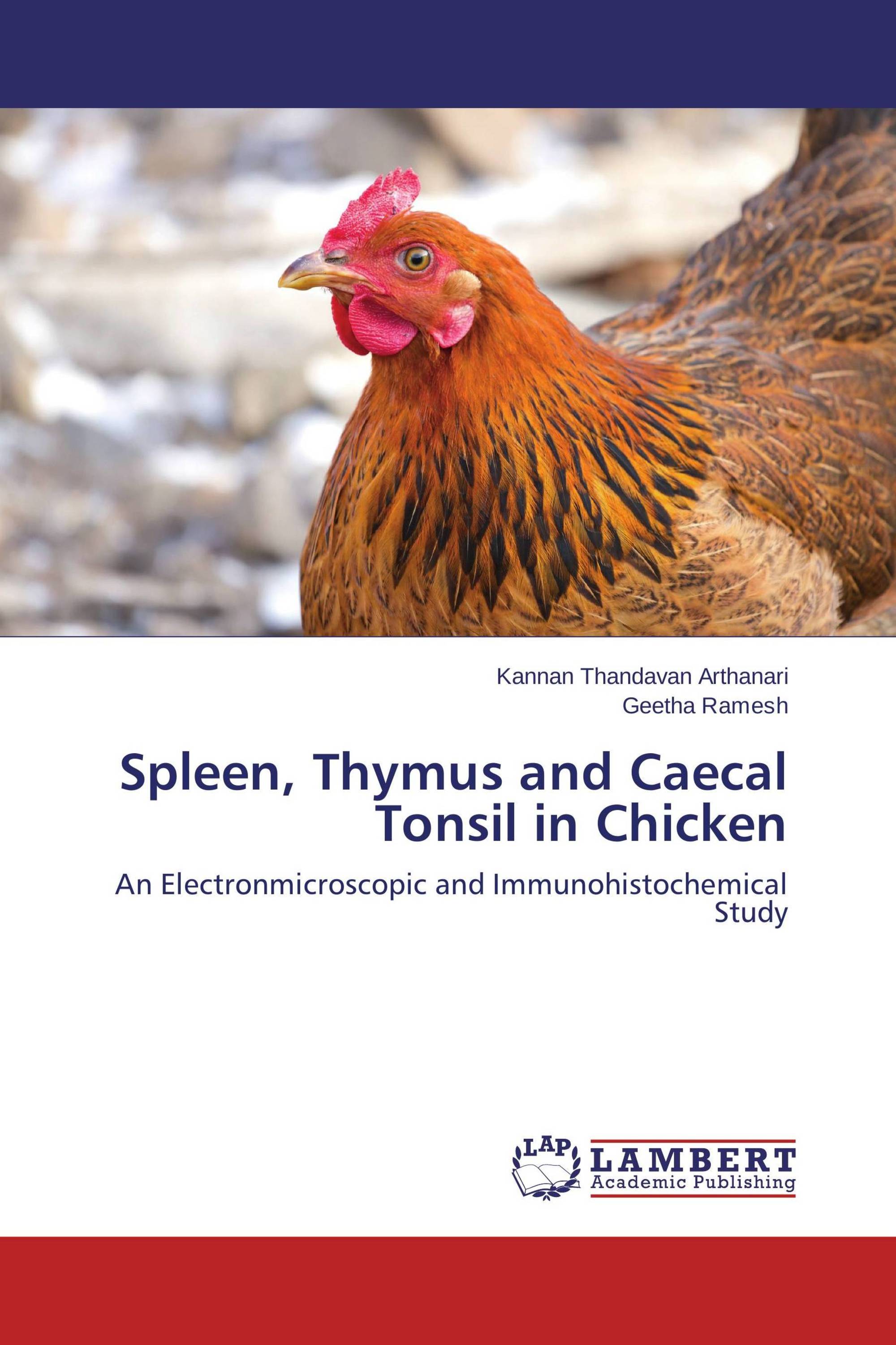 Spleen, Thymus and Caecal Tonsil in Chicken