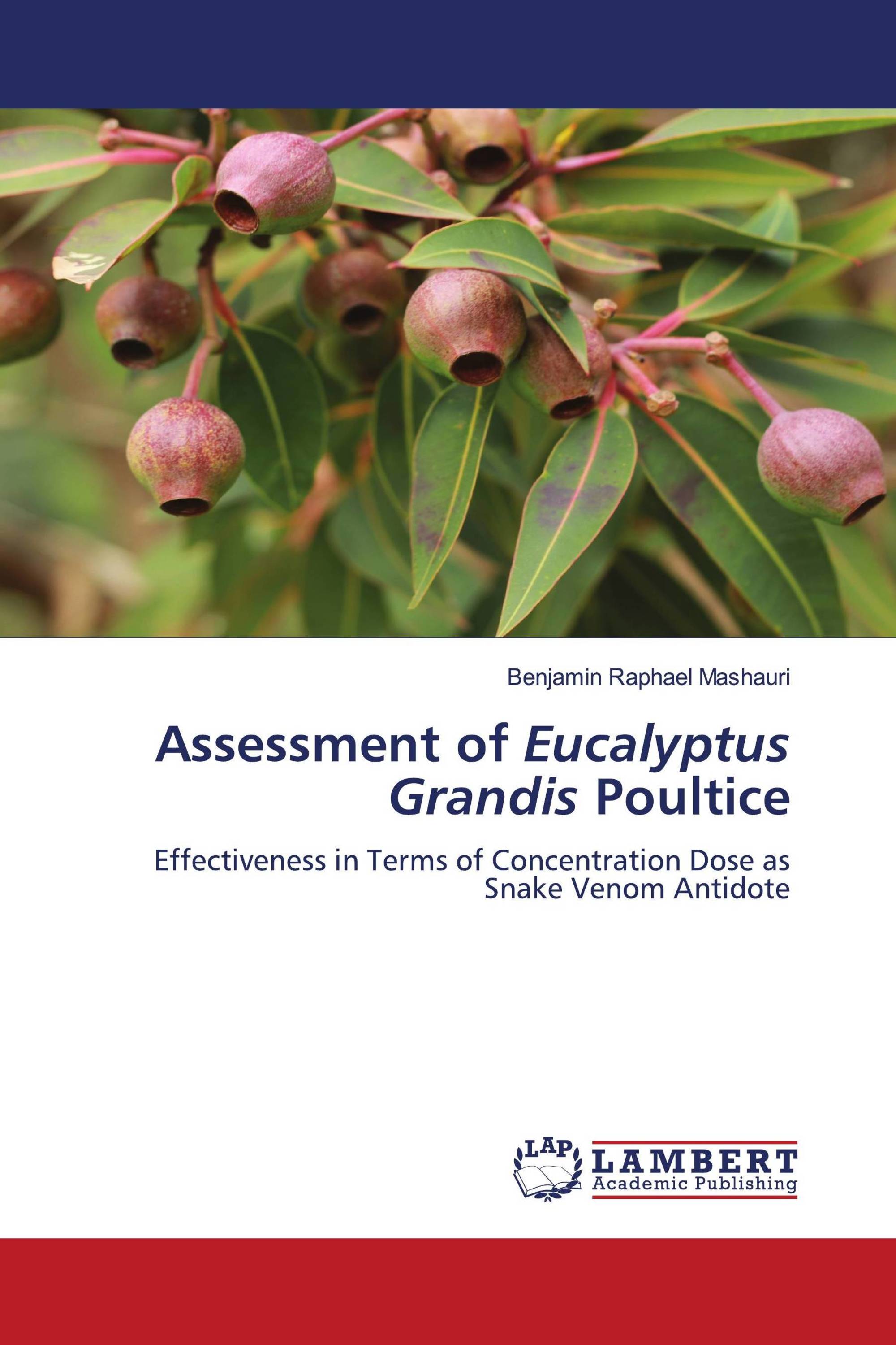 Assessment of Eucalyptus Grandis Poultice