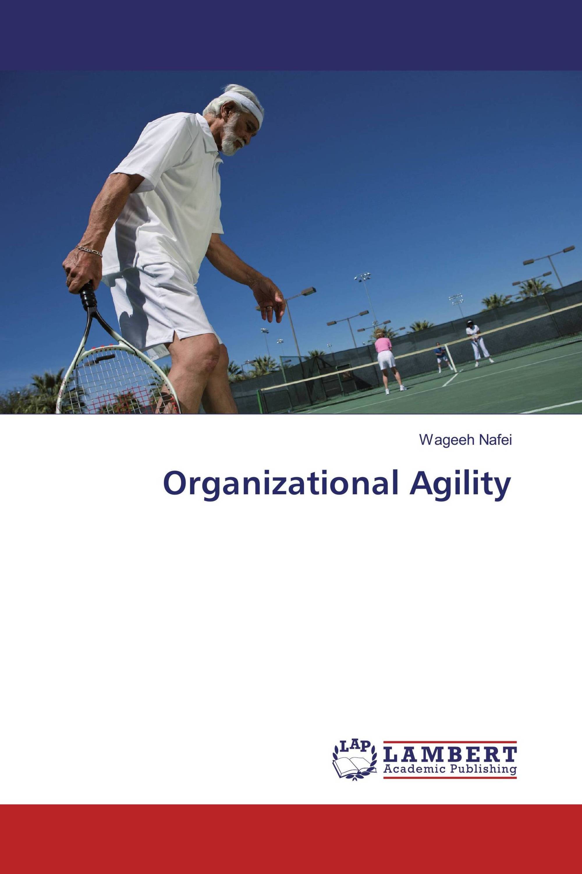 Organizational agility thesis 06 picture