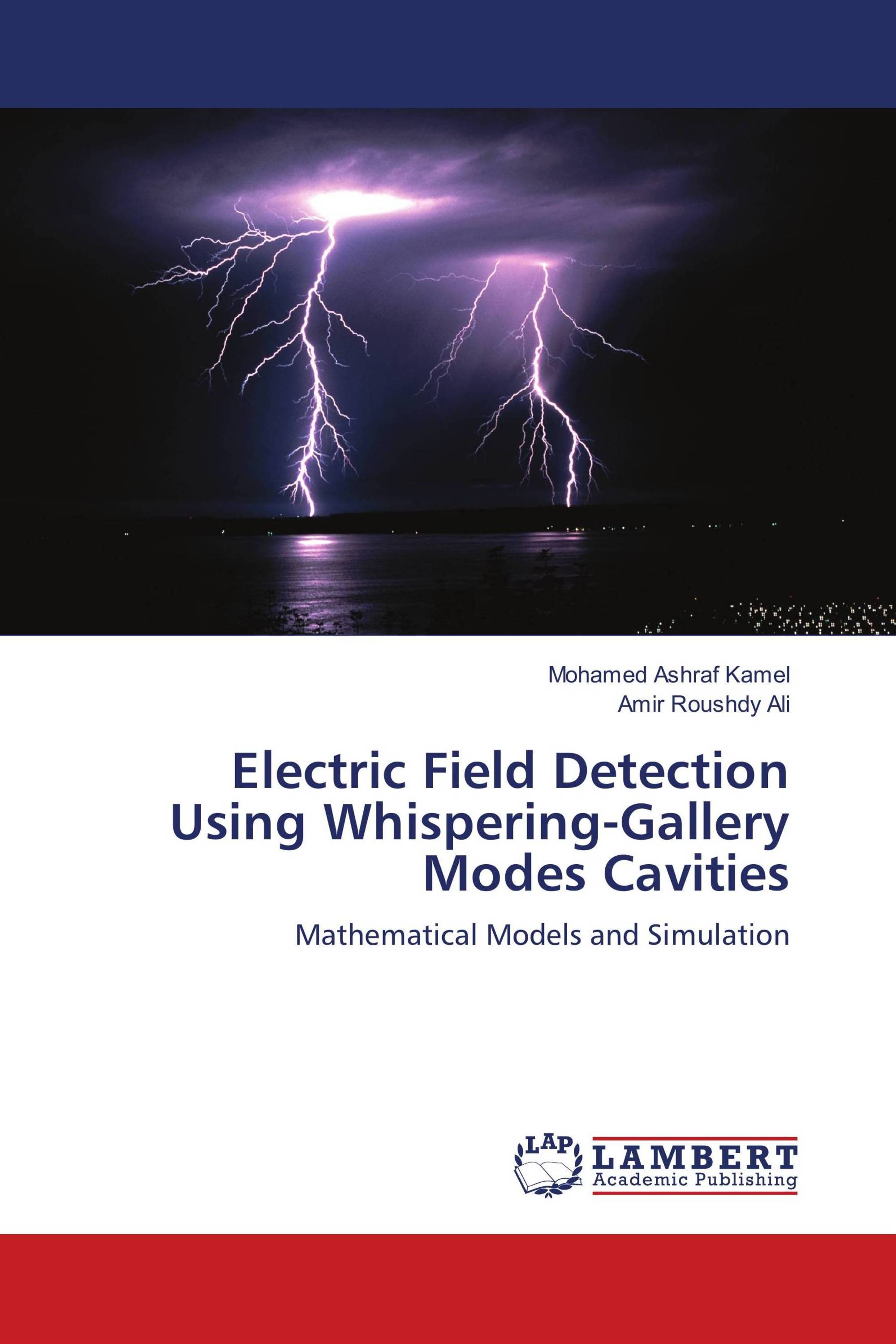 Electric Field Detection Using WhisperingGallery Modes Cavities / 978