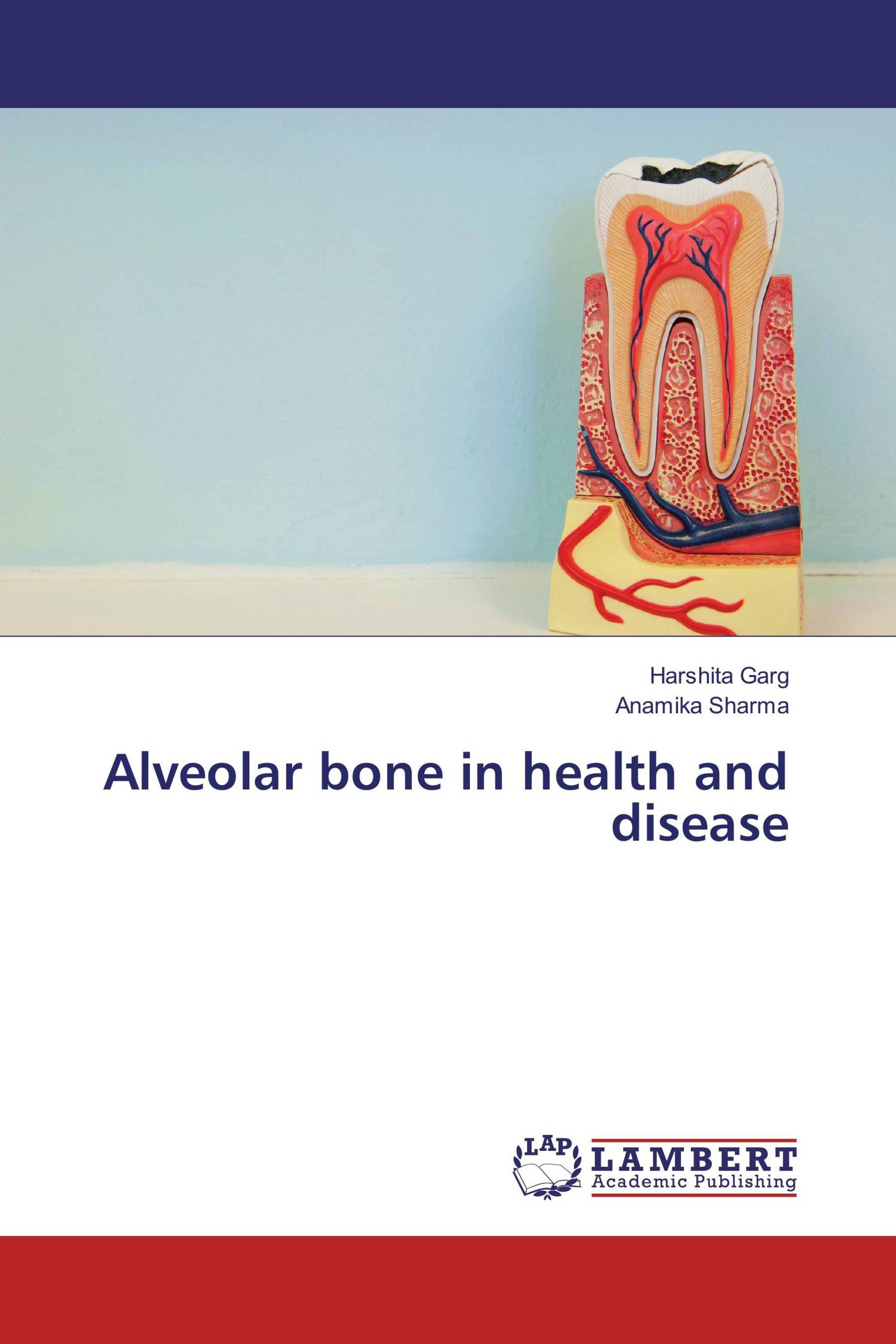 Alveolar bone in health and disease