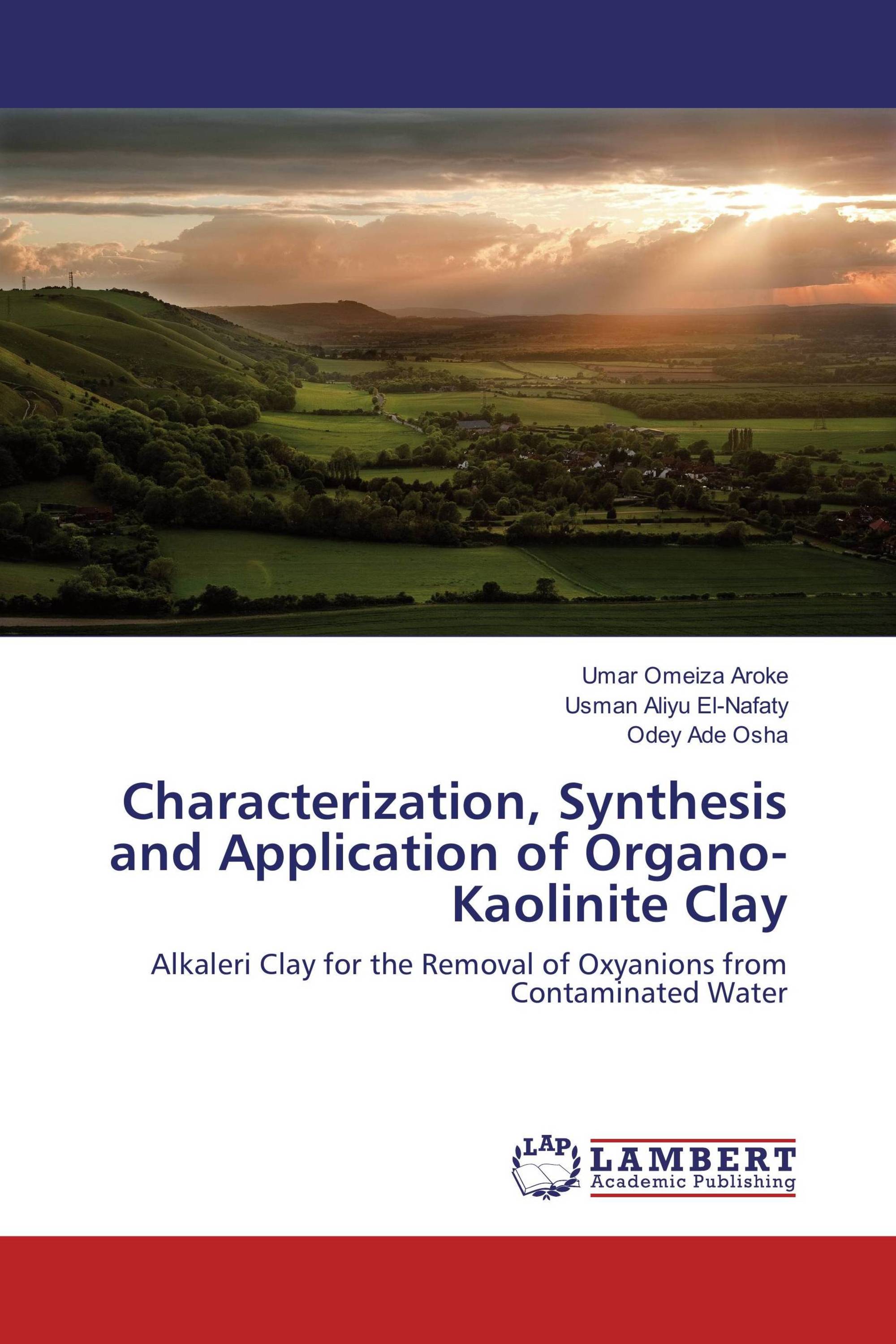 Characterization, Synthesis and Application of Organo-Kaolinite Clay