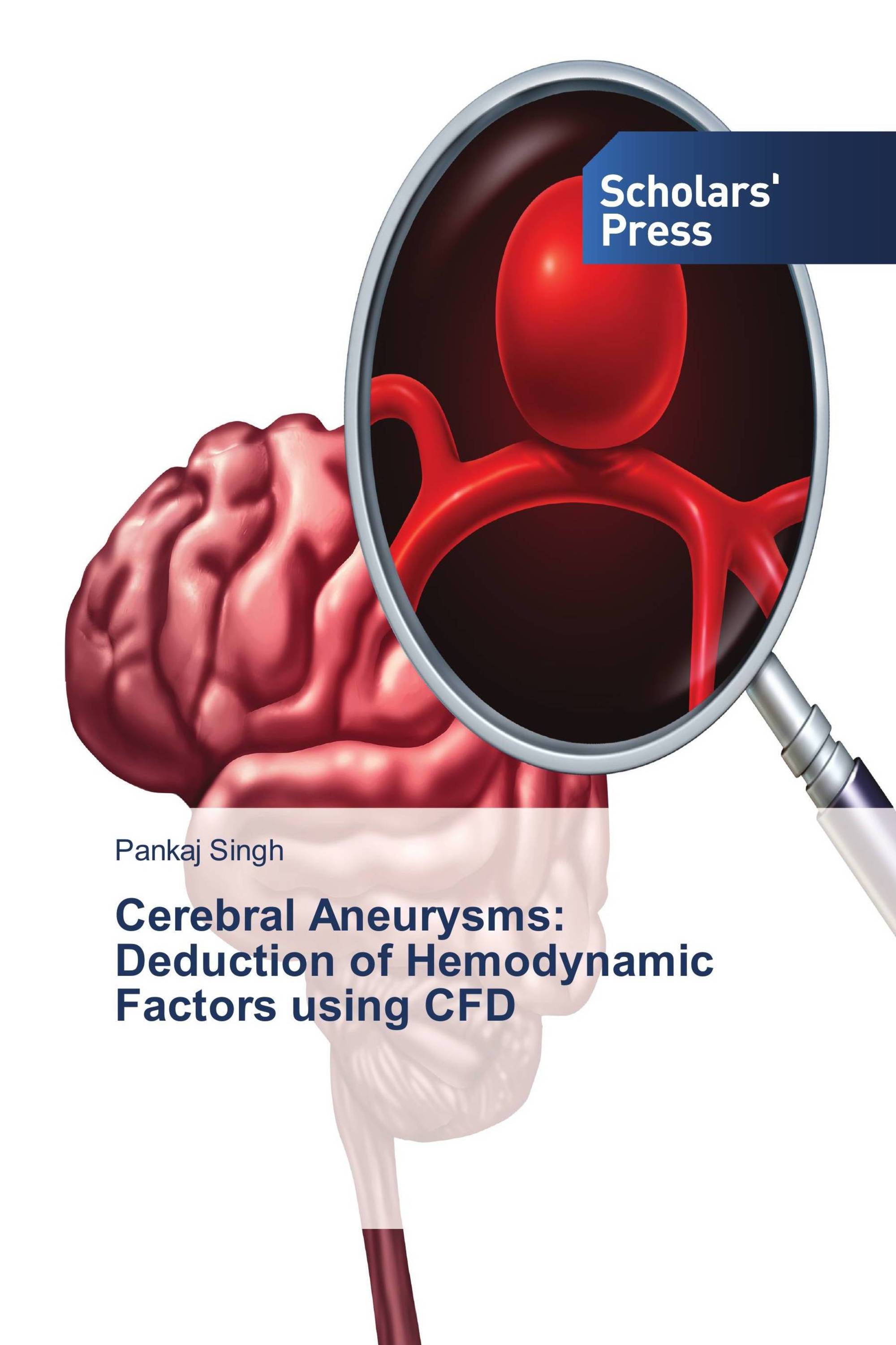 Cerebral Aneurysms: Deduction of Hemodynamic Factors using CFD