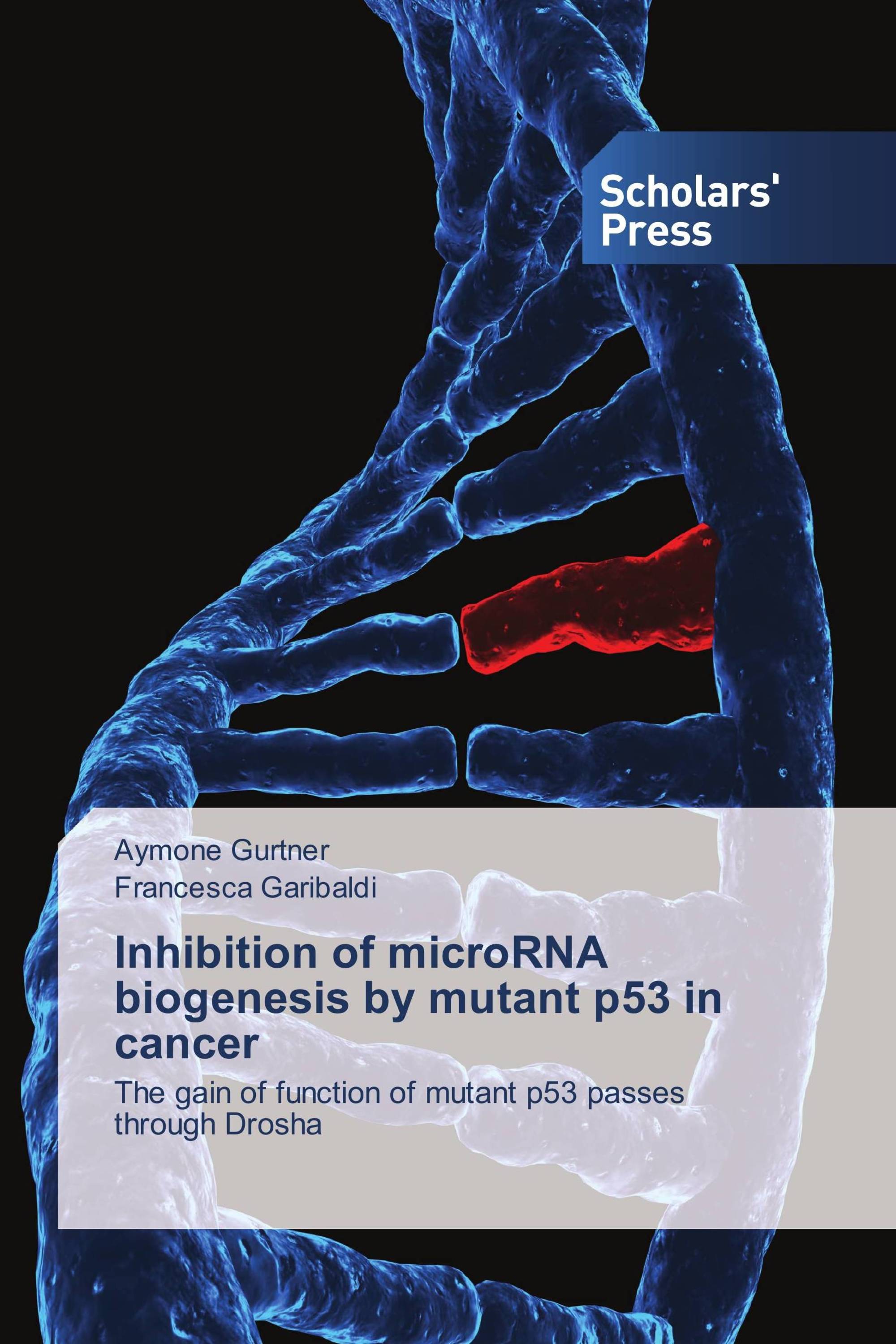 Inhibition of microRNA biogenesis by mutant p53 in cancer