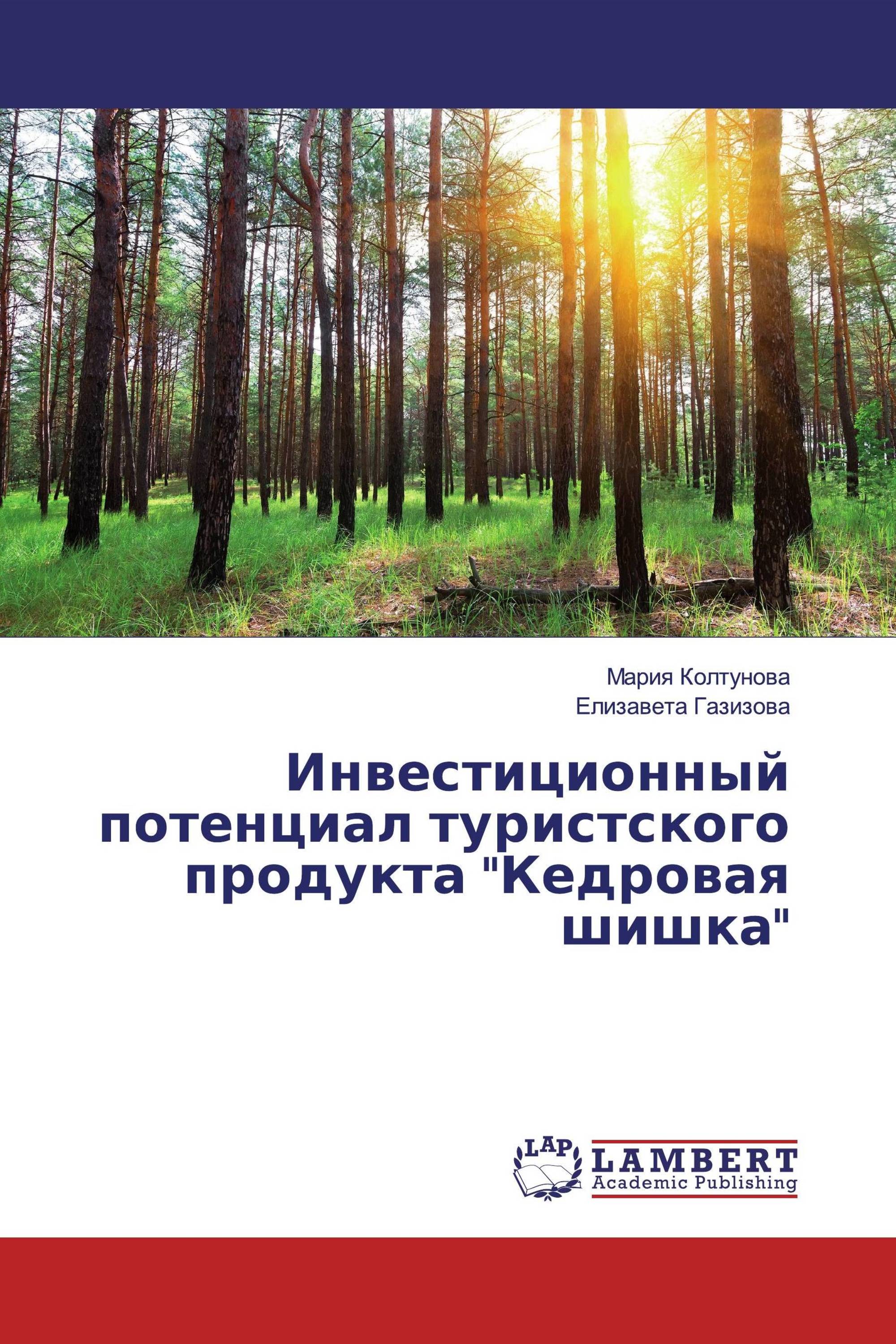 Инвестиционный потенциал туристского продукта "Кедровая шишка"