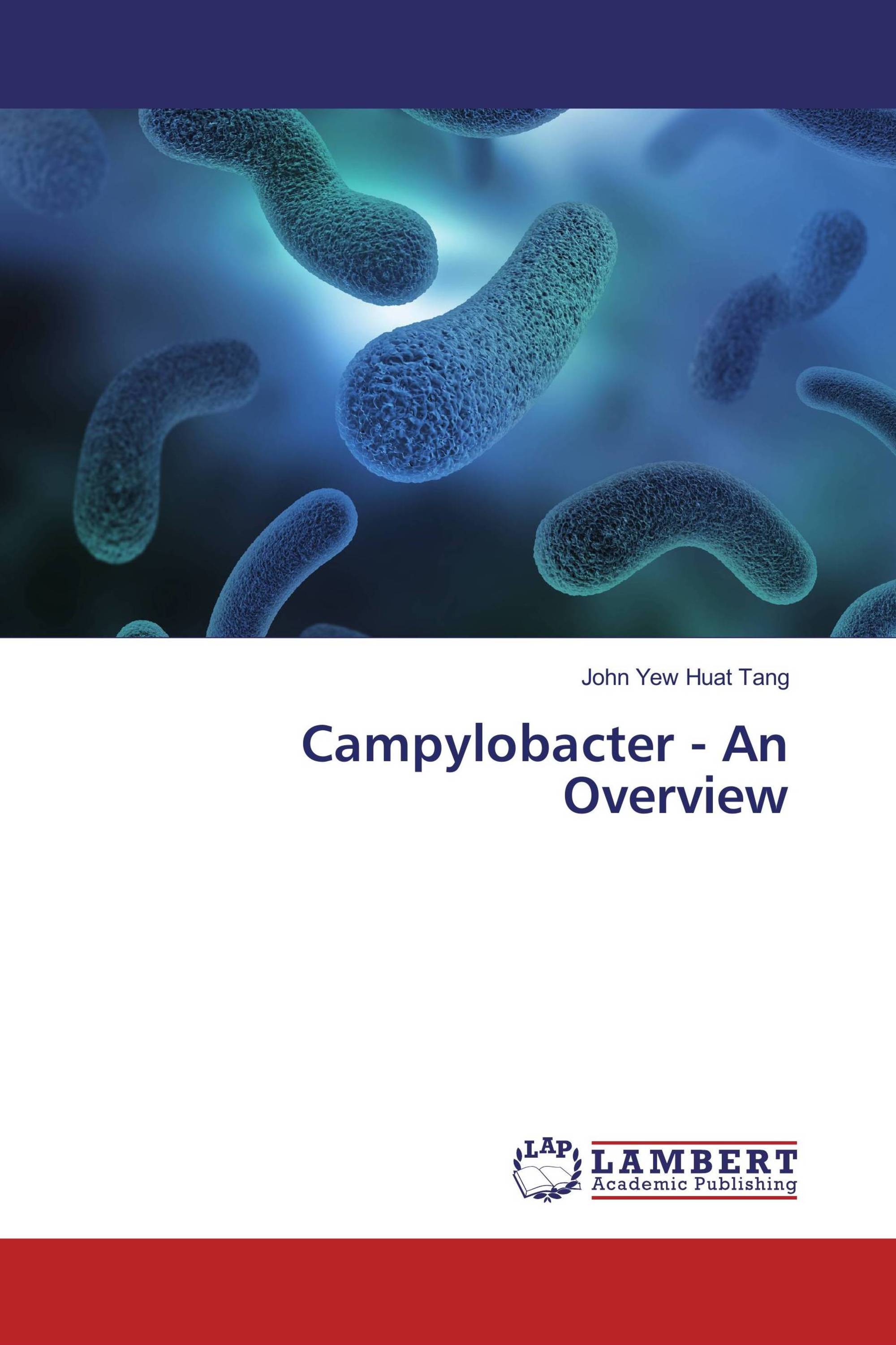 Campylobacter - An Overview