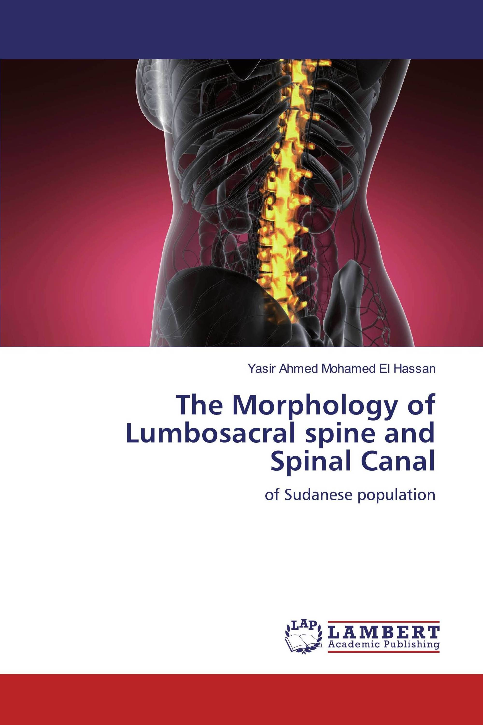 The Morphology of Lumbosacral spine and Spinal Canal