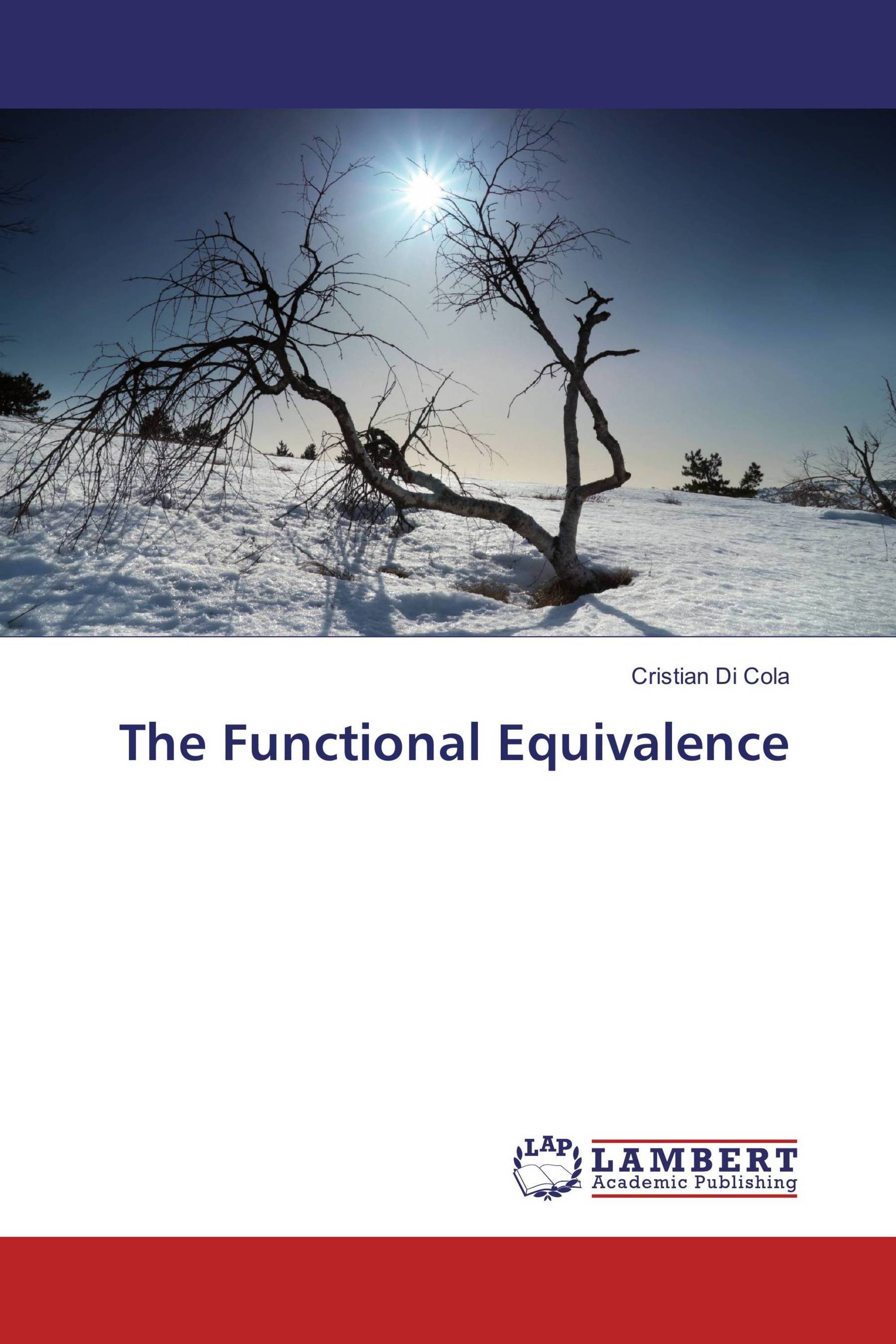 The functional equivalence 978 3 659 86123 9 9783659861239 3659861235