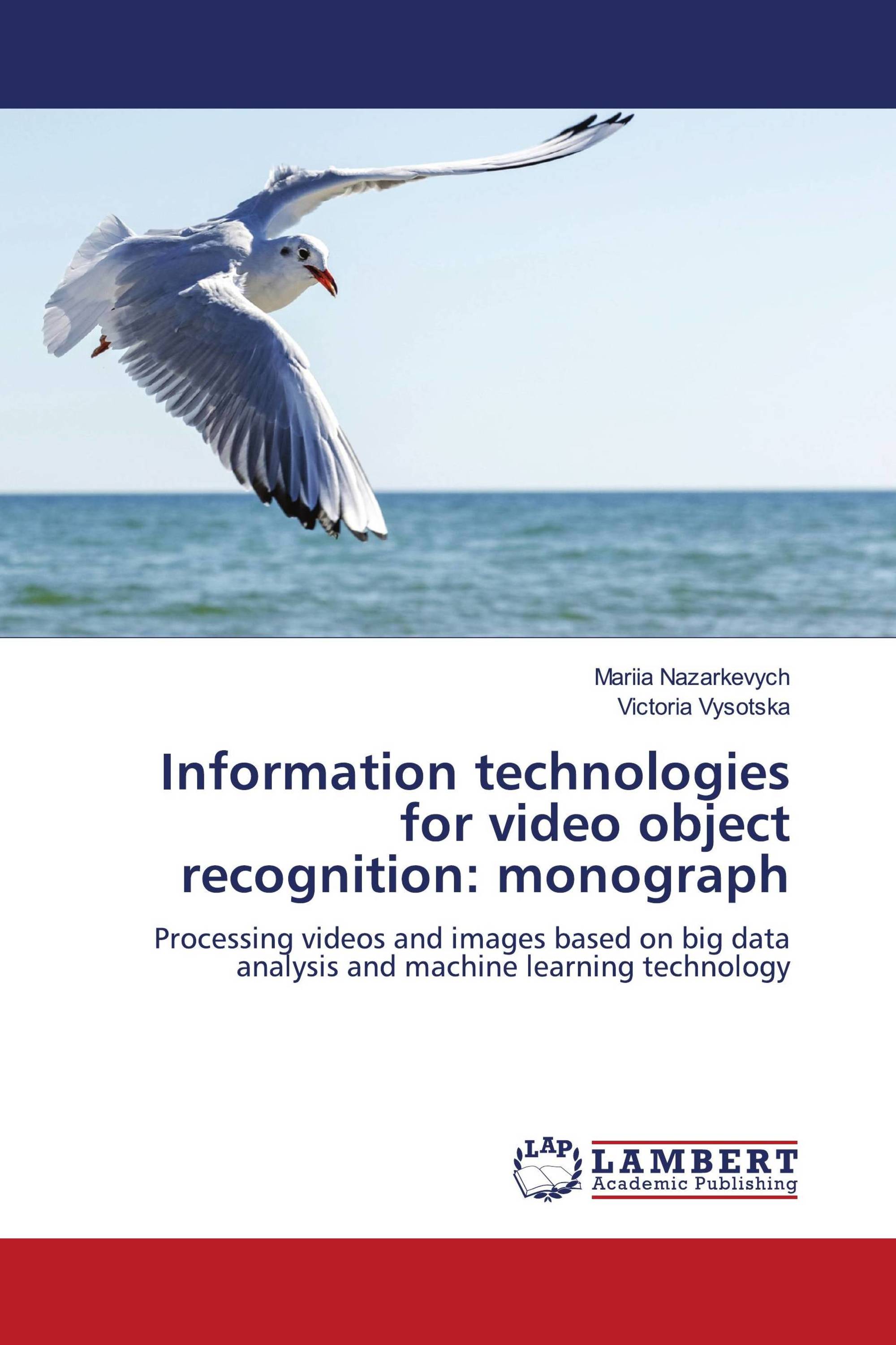 Information technologies for video object recognition: monograph