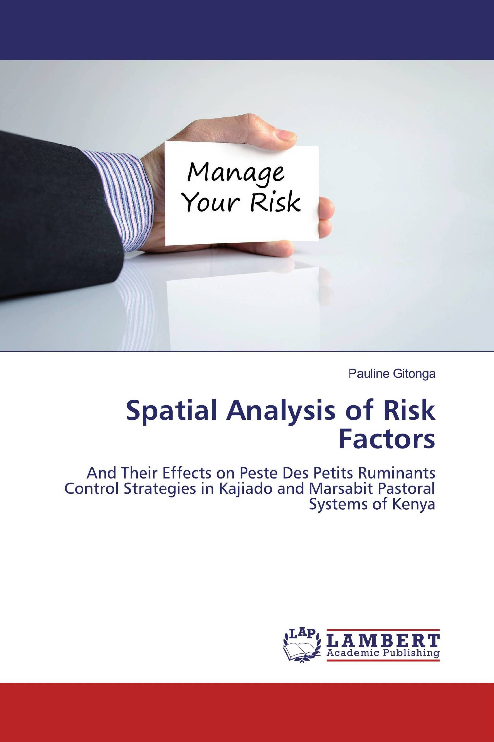 Spatial Analysis of Risk Factors