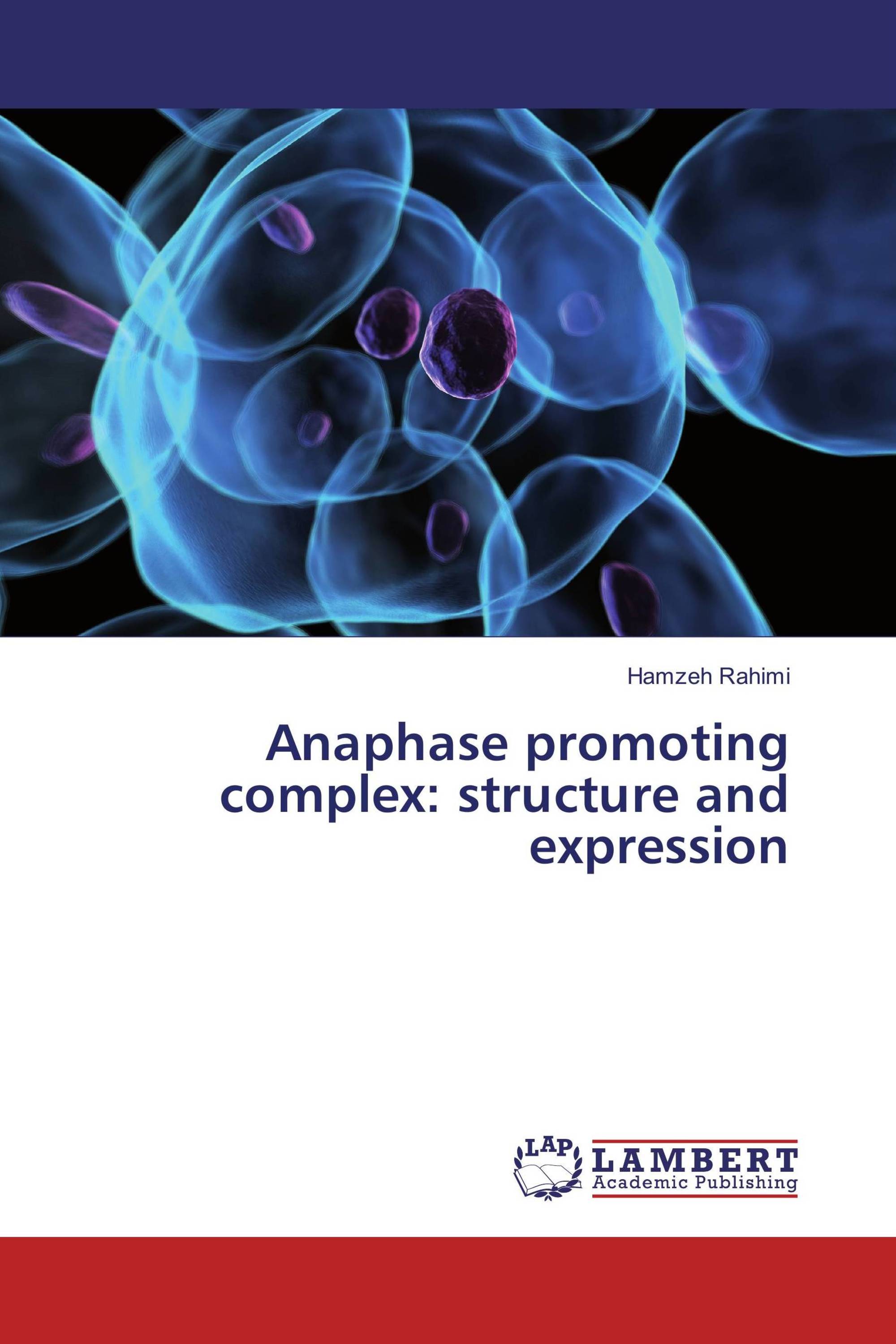 Anaphase promoting complex: structure and expression / 978 Biology Diagrams