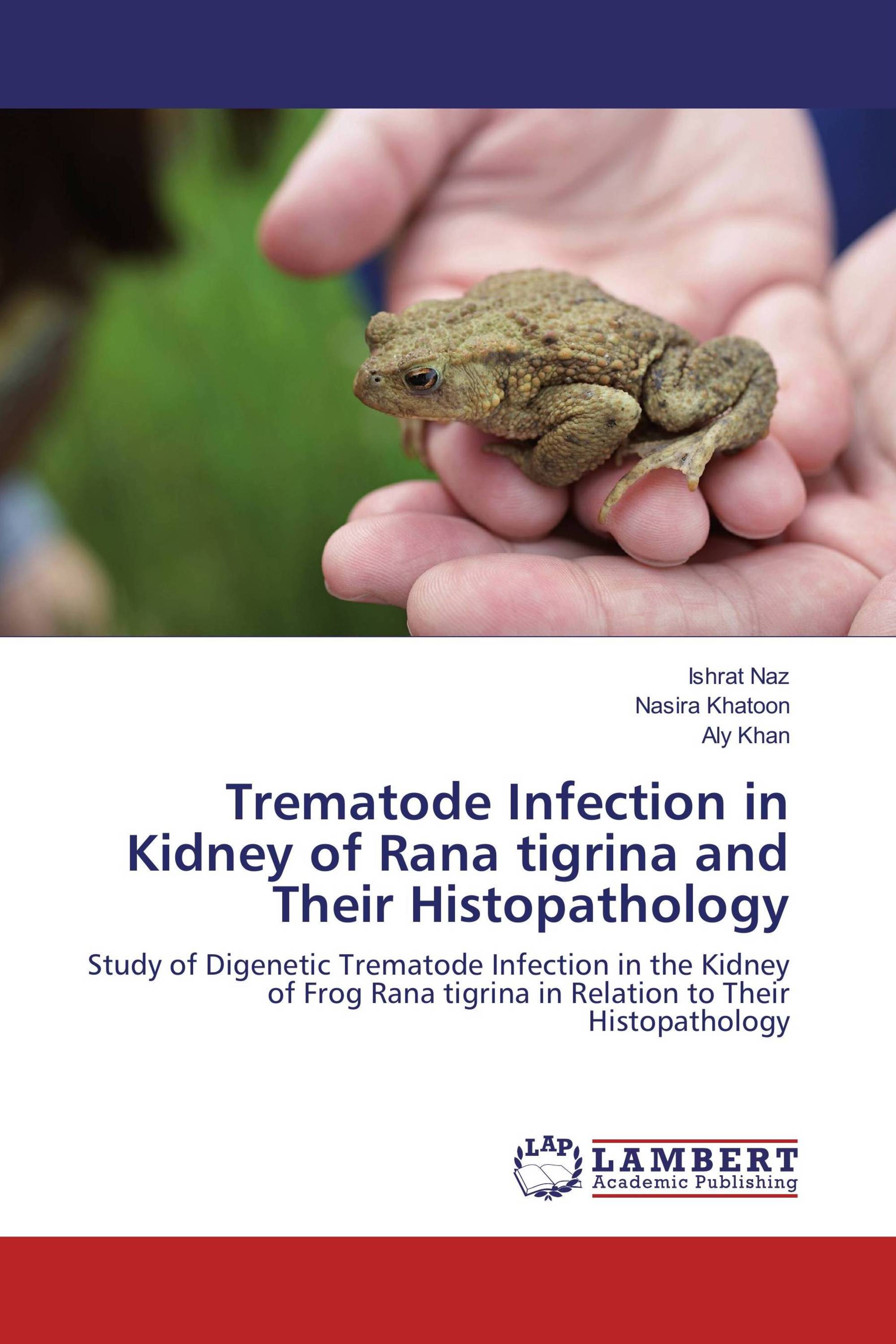 Trematode Infection in Kidney of Rana tigrina and Their Histopathology