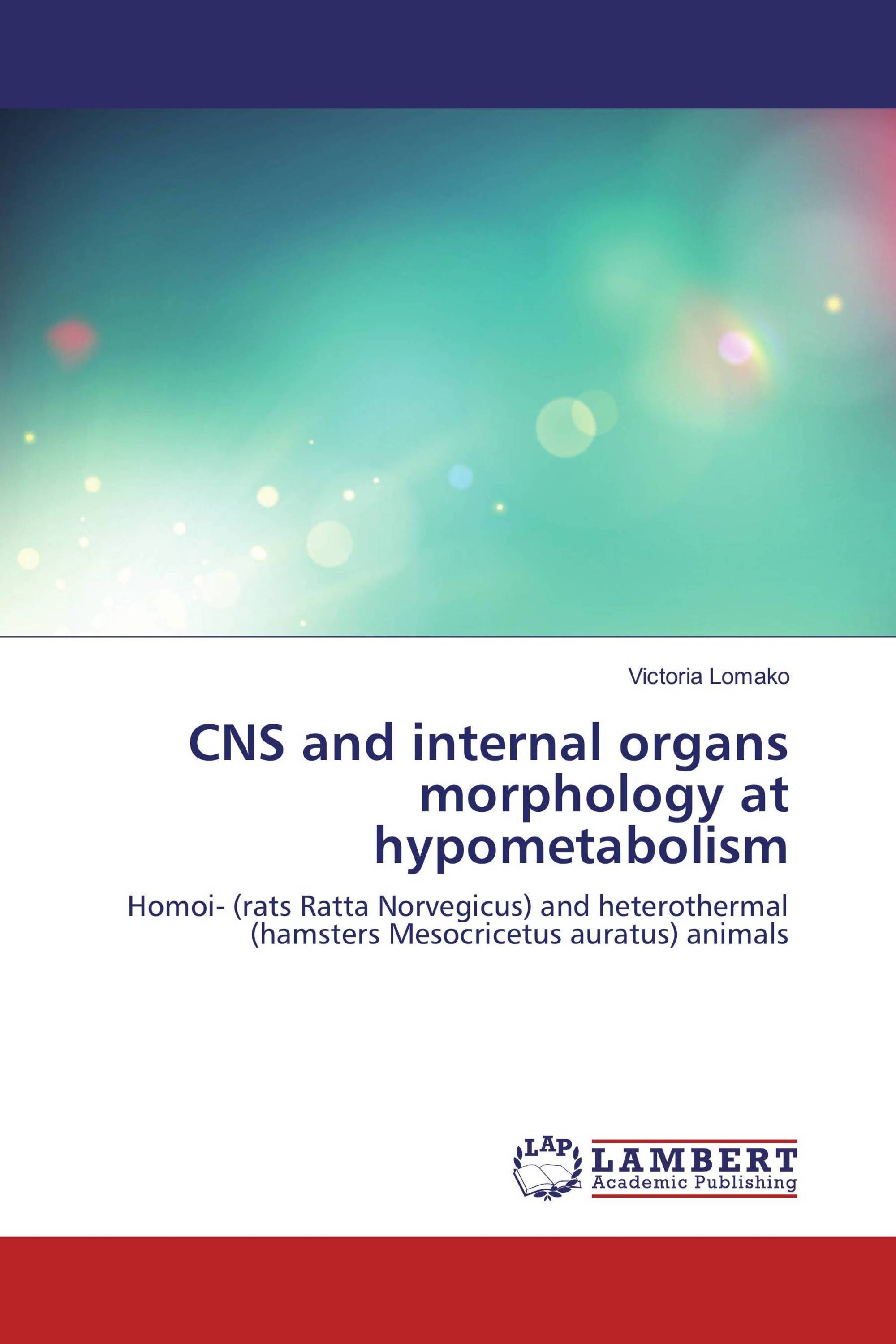 CNS and internal organs morphology at hypometabolism