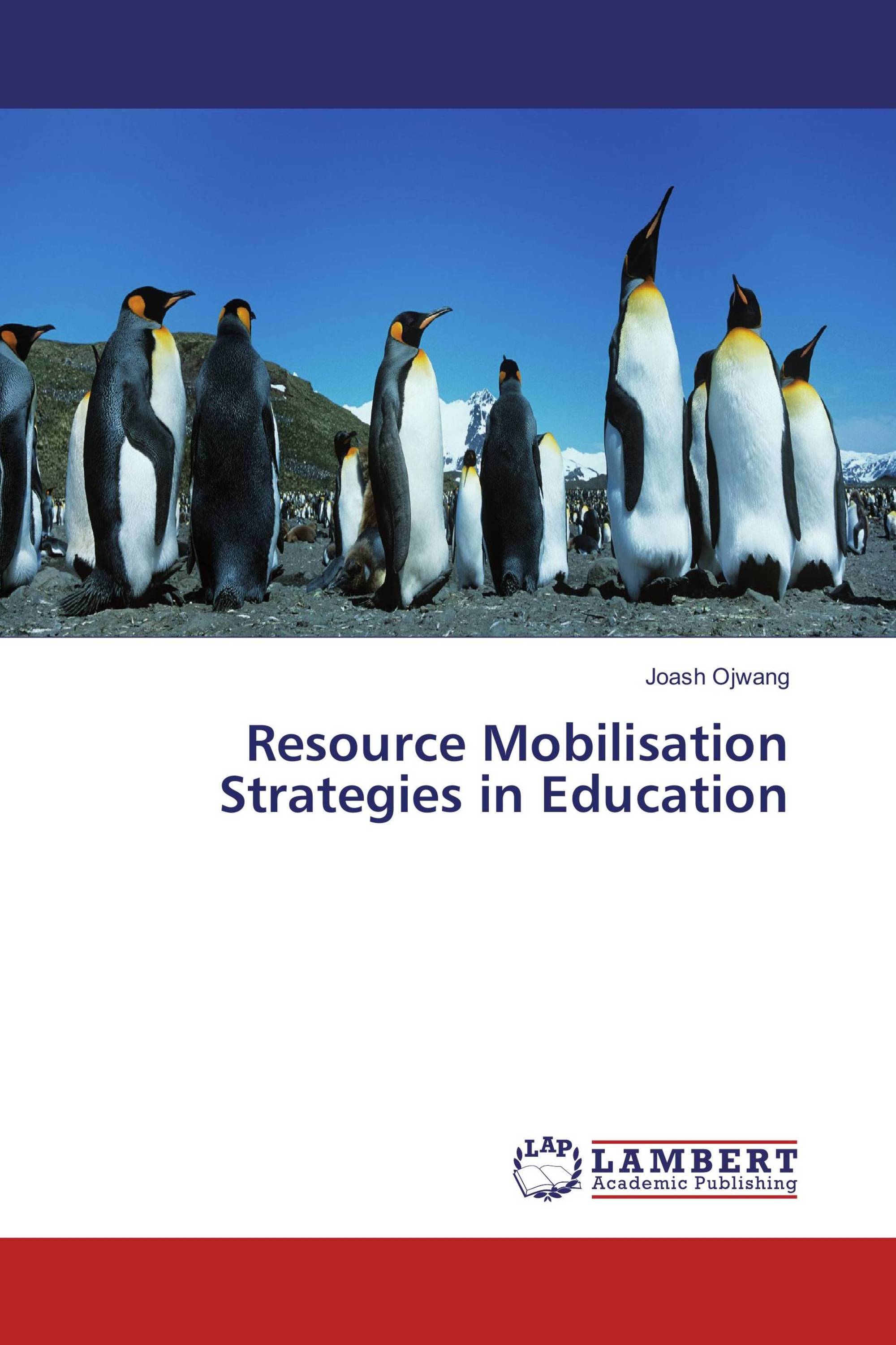 Resource Mobilisation Strategies in Education