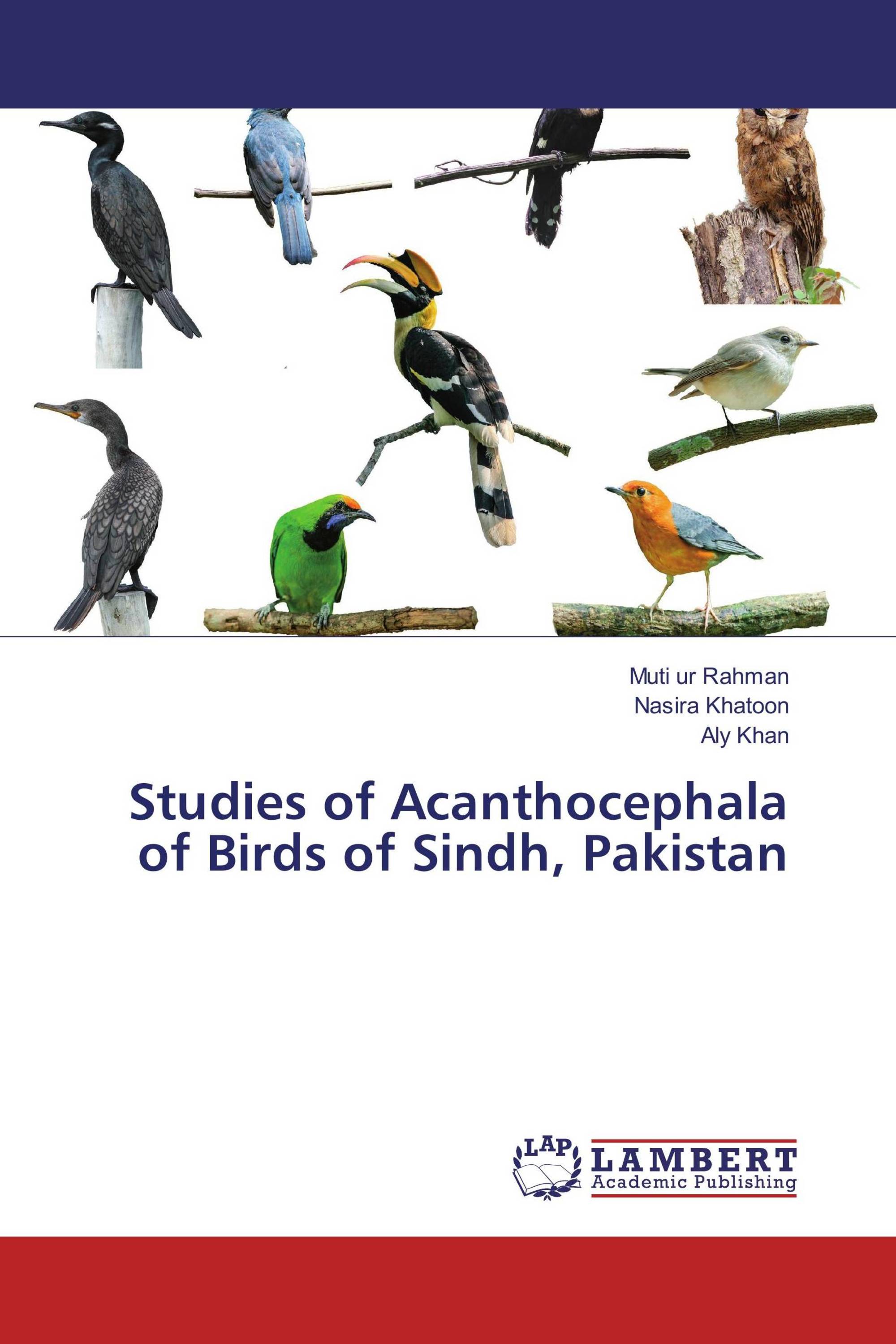 Studies of Acanthocephala of Birds of Sindh, Pakistan