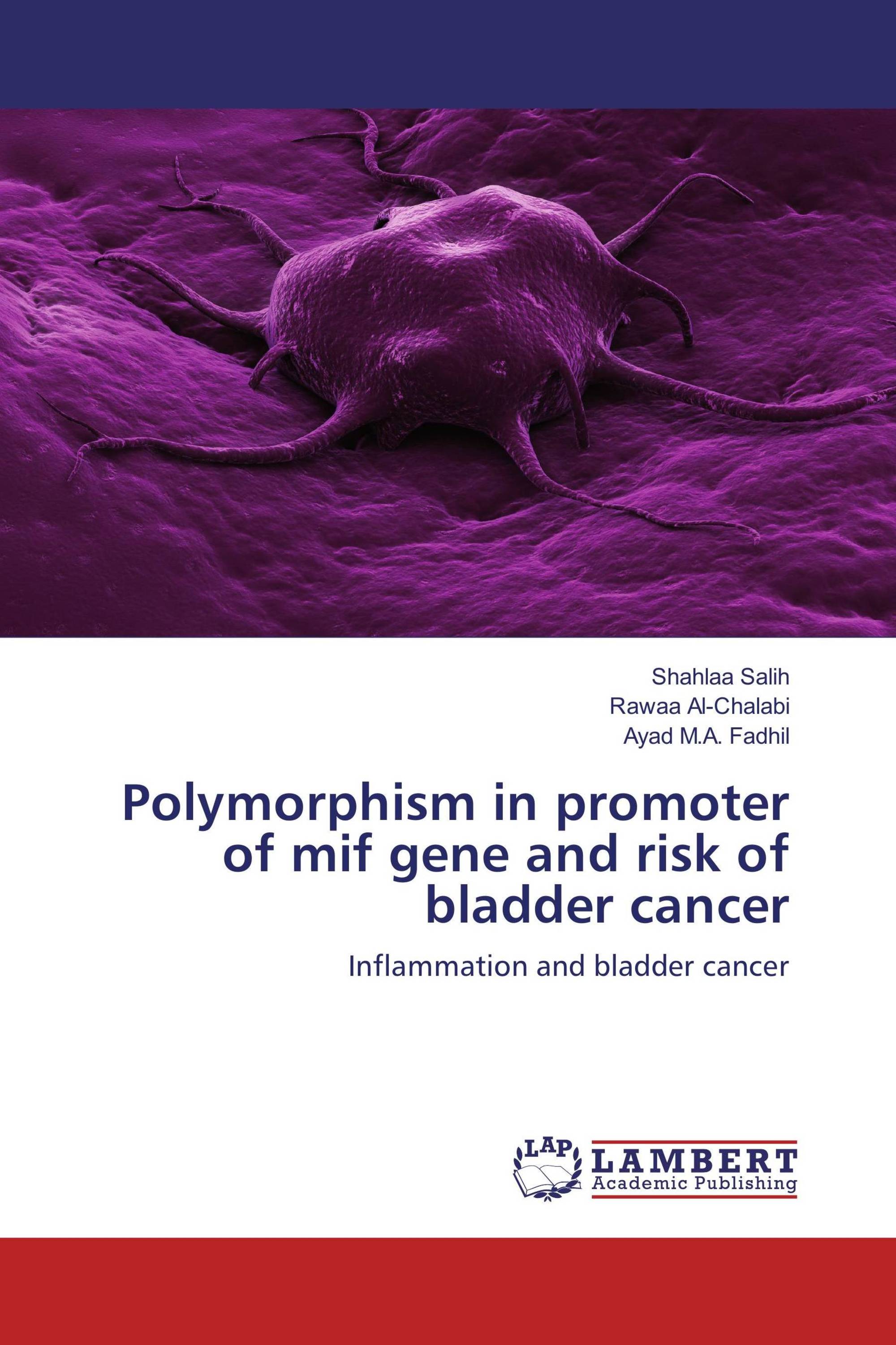 Polymorphism in promoter of mif gene and risk of bladder cancer