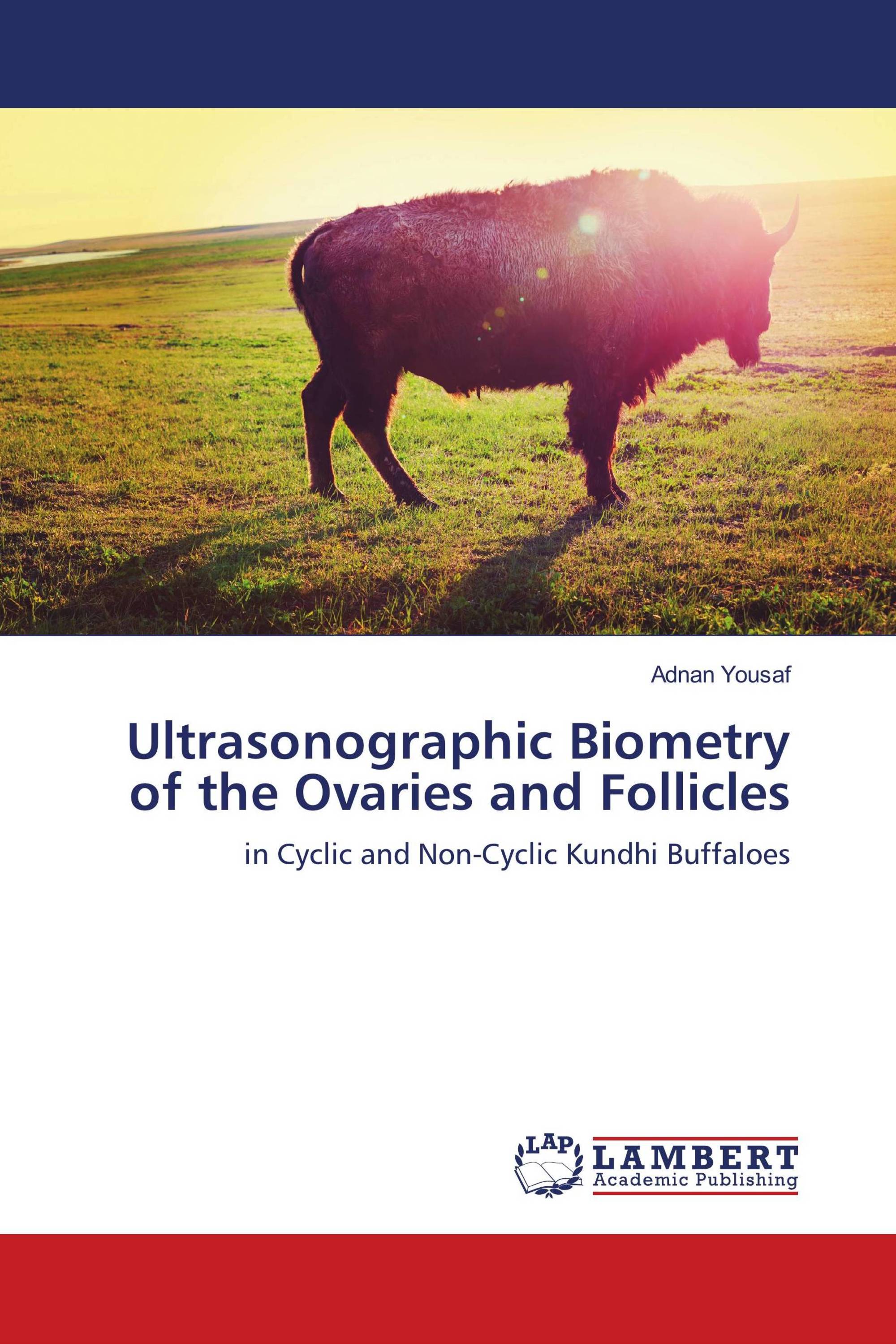 Ultrasonographic Biometry of the Ovaries and Follicles