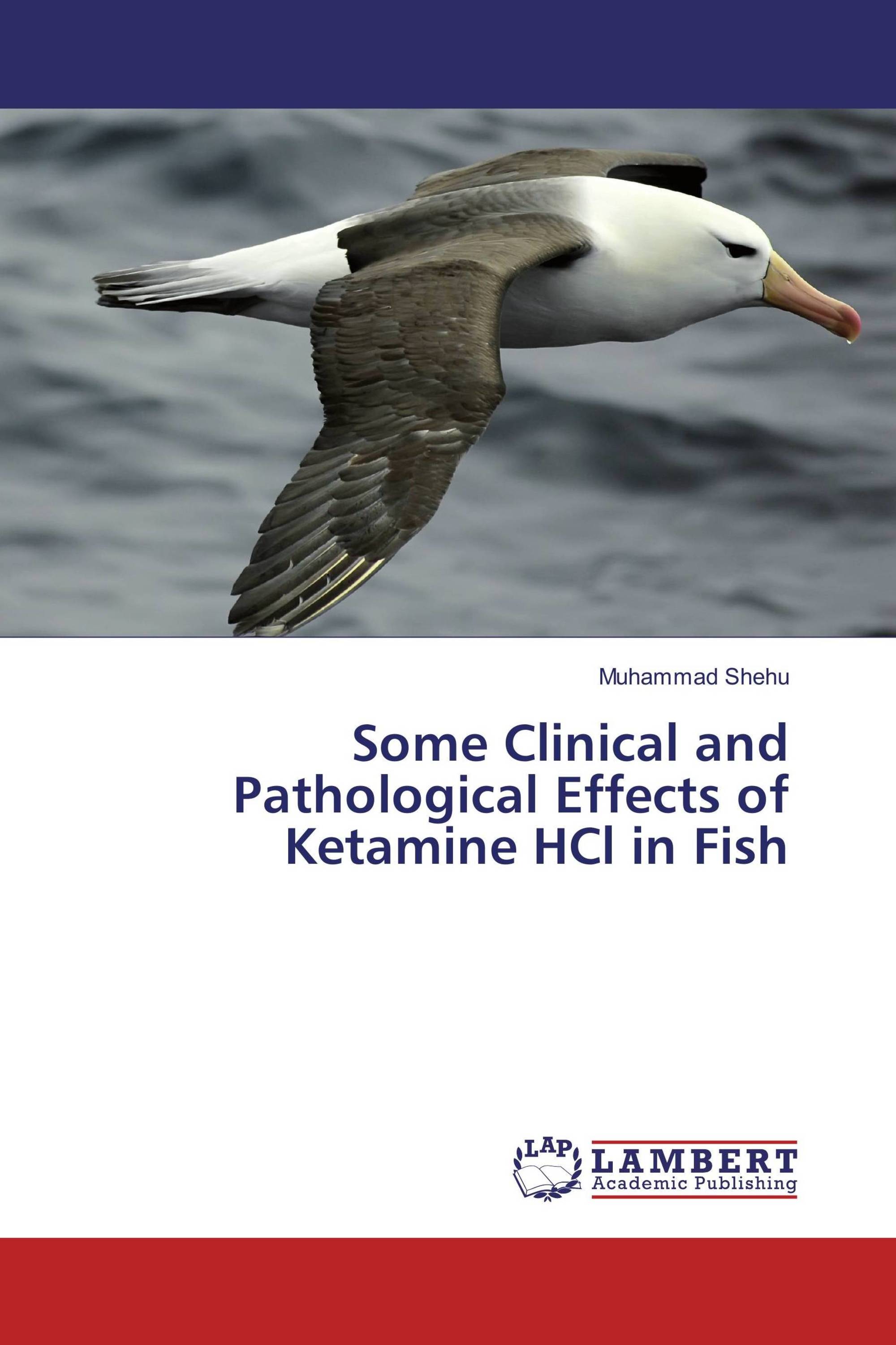 Some Clinical and Pathological Effects of Ketamine HCl in Fish