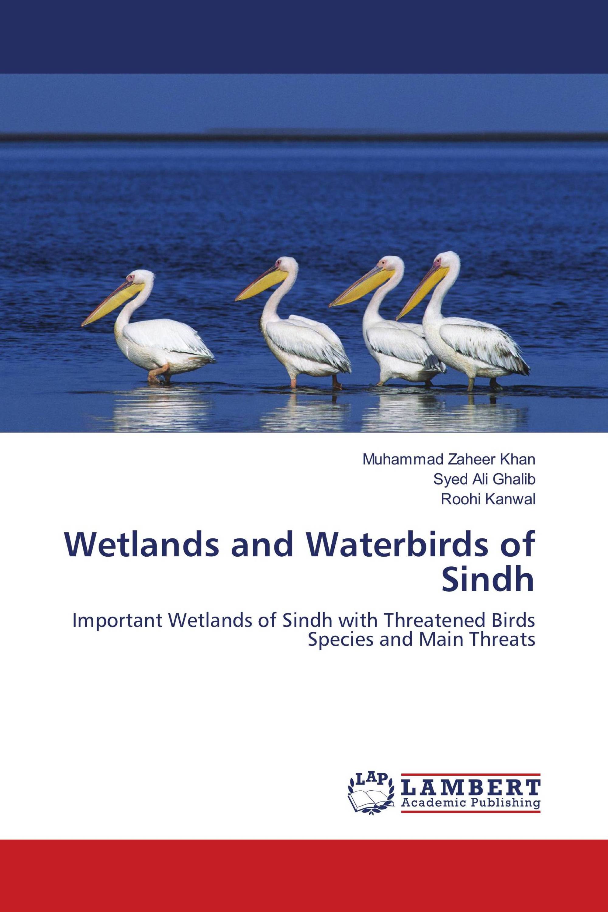 Wetlands and Waterbirds of Sindh