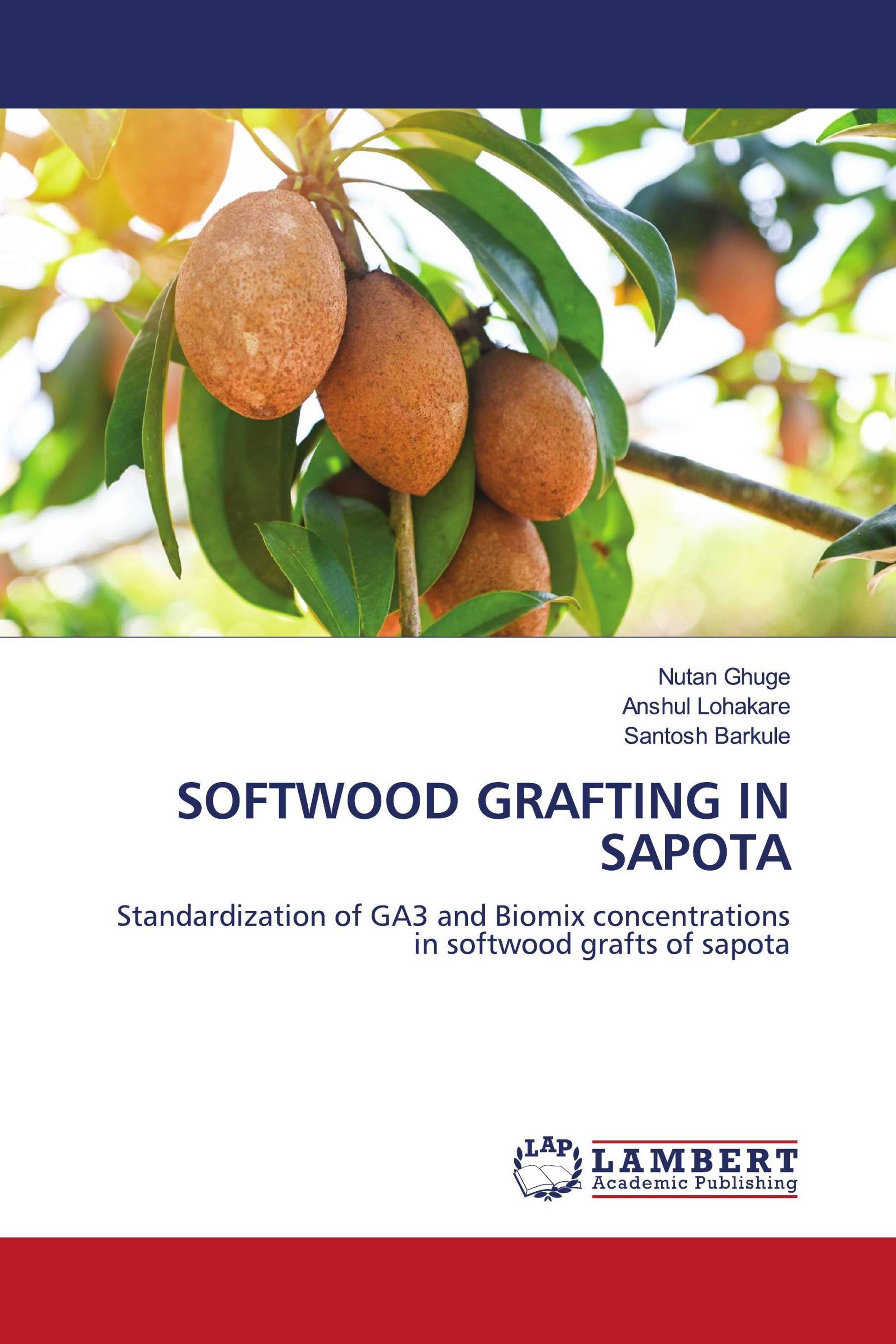 SOFTWOOD GRAFTING IN SAPOTA