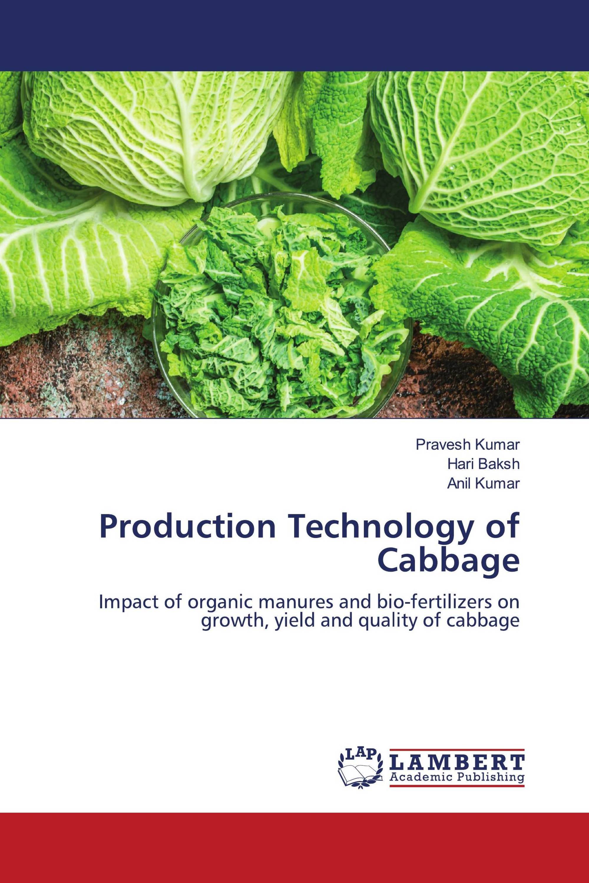 Production Technology of Cabbage