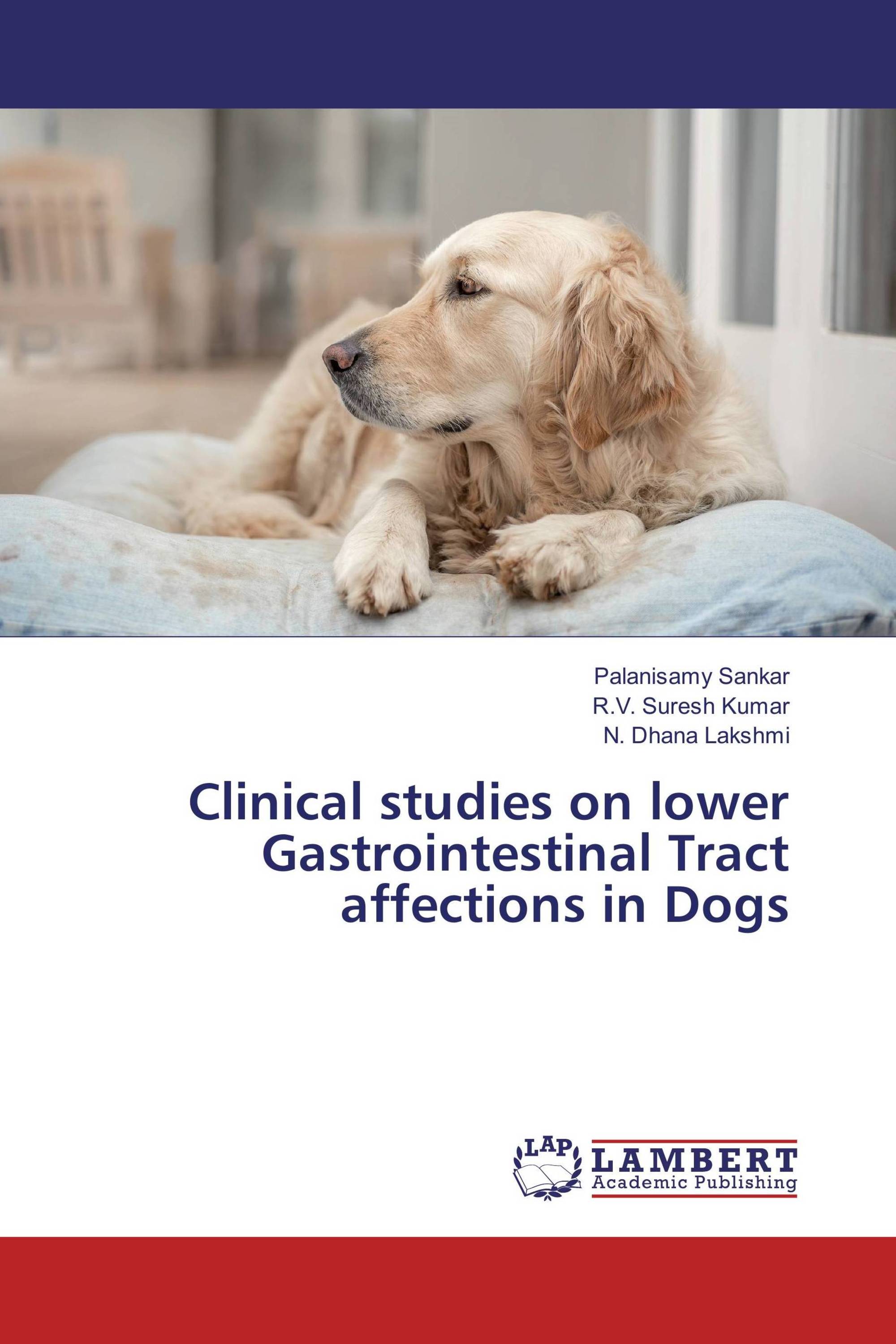Clinical studies on lower Gastrointestinal Tract affections in Dogs