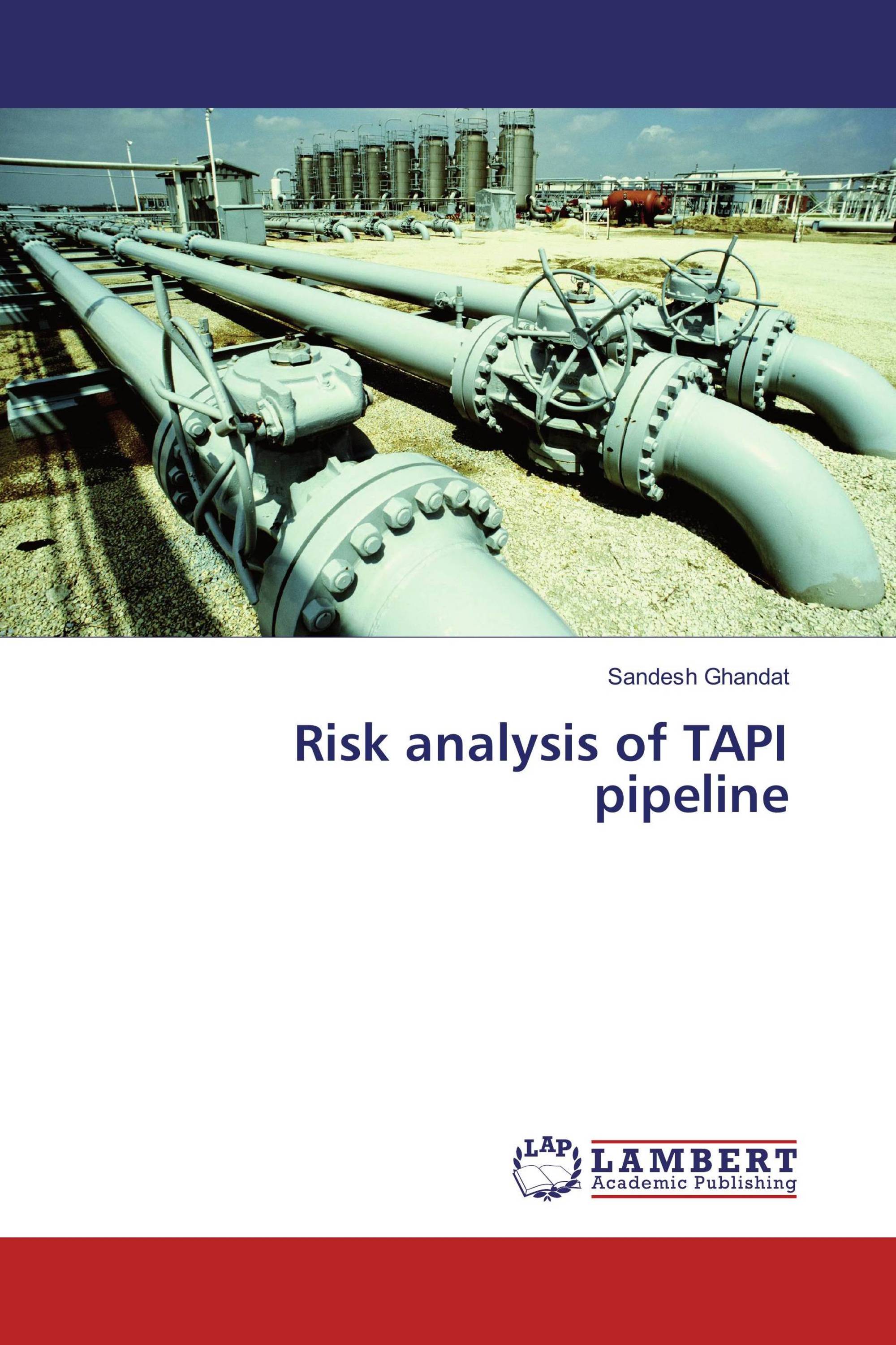 Risk analysis of TAPI pipeline