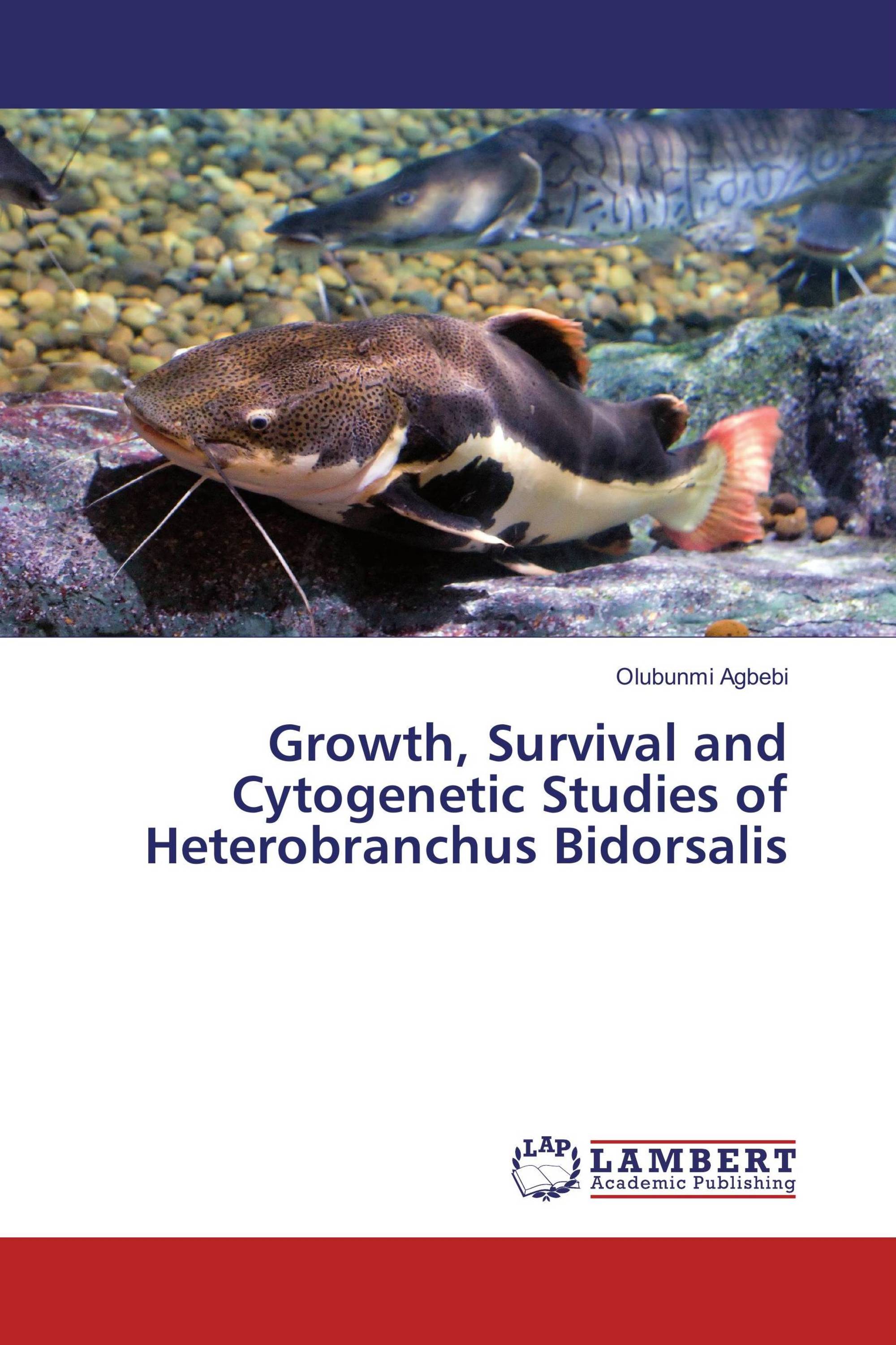 Growth, Survival and Cytogenetic Studies of Heterobranchus Bidorsalis