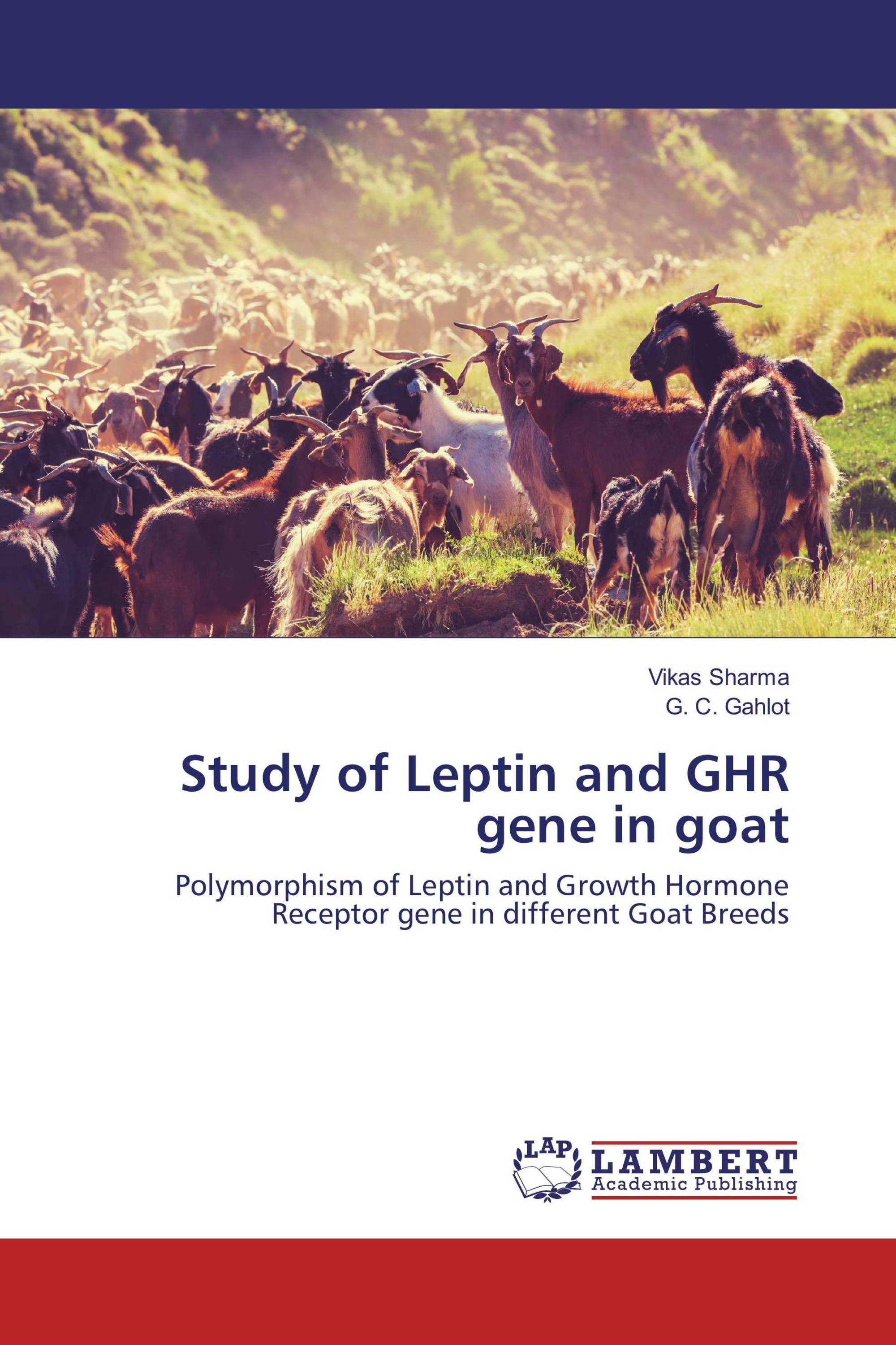 Study of Leptin and GHR gene in goat