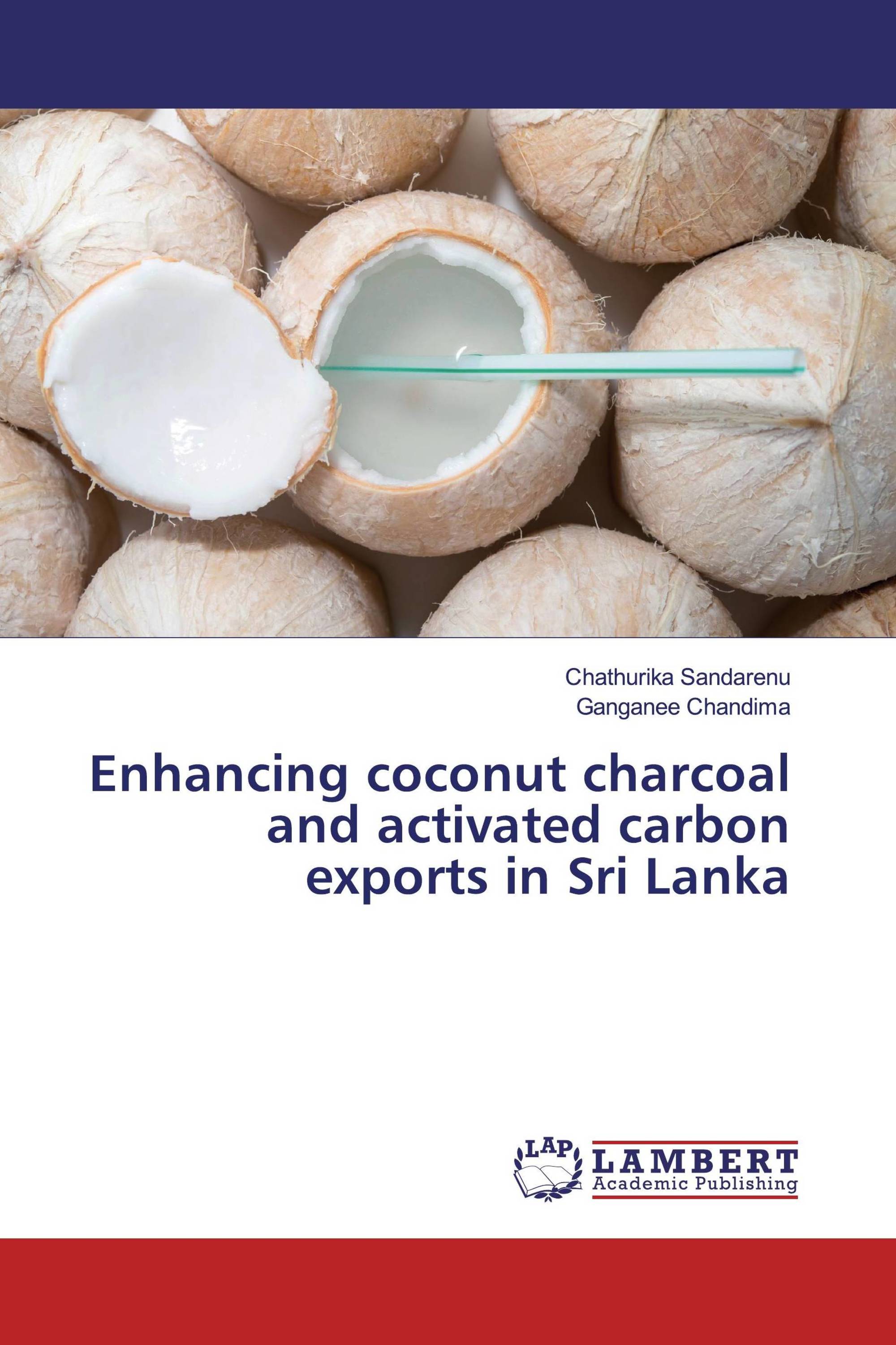 Enhancing coconut charcoal and activated carbon exports in Sri Lanka