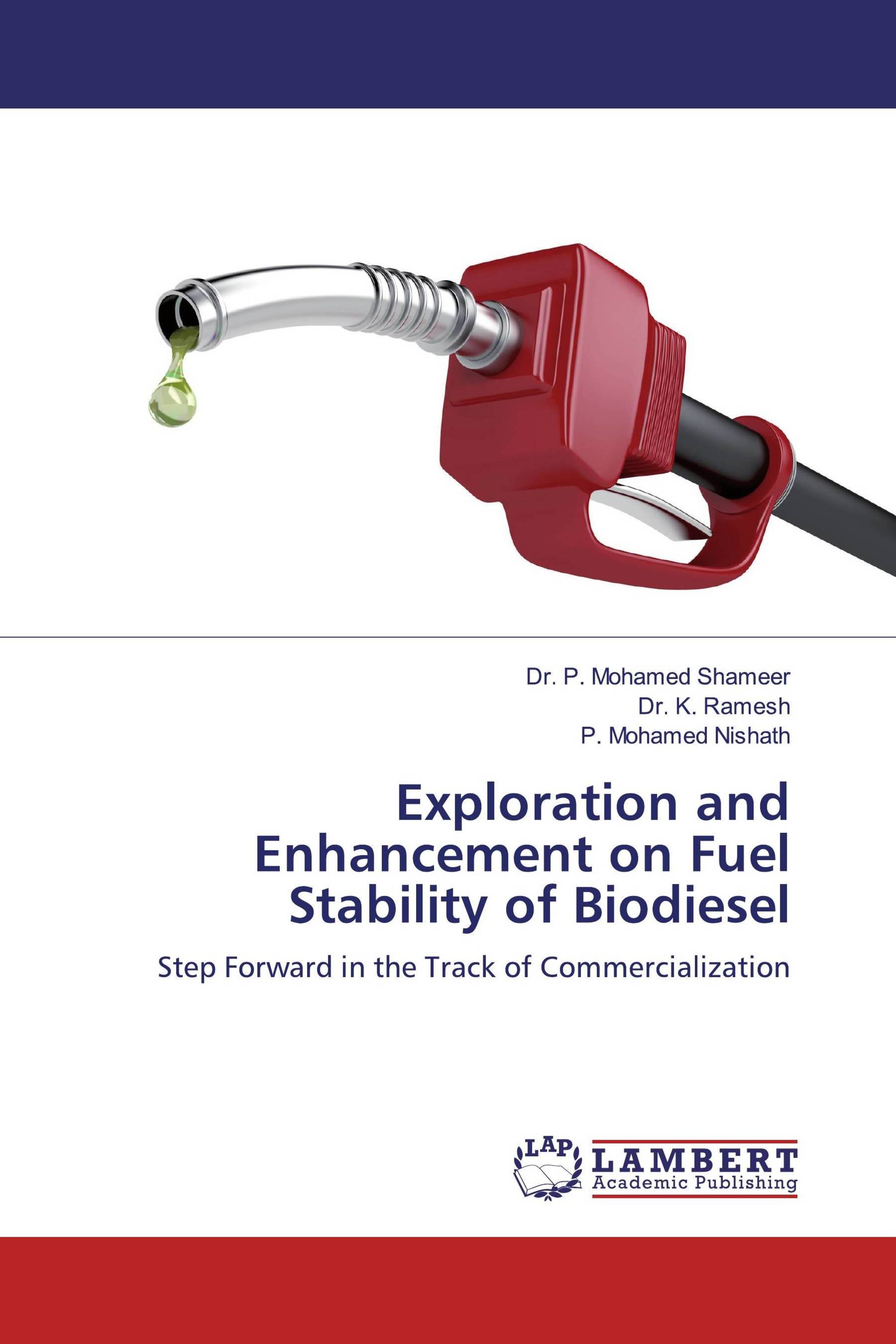 Exploration and Enhancement on Fuel Stability of Biodiesel