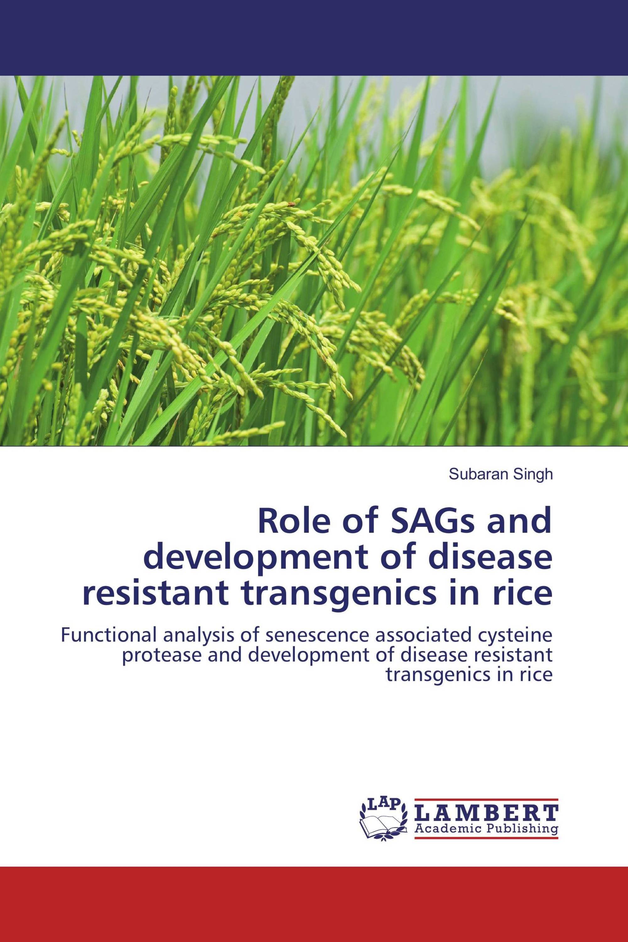 Role of SAGs and development of disease resistant transgenics in rice