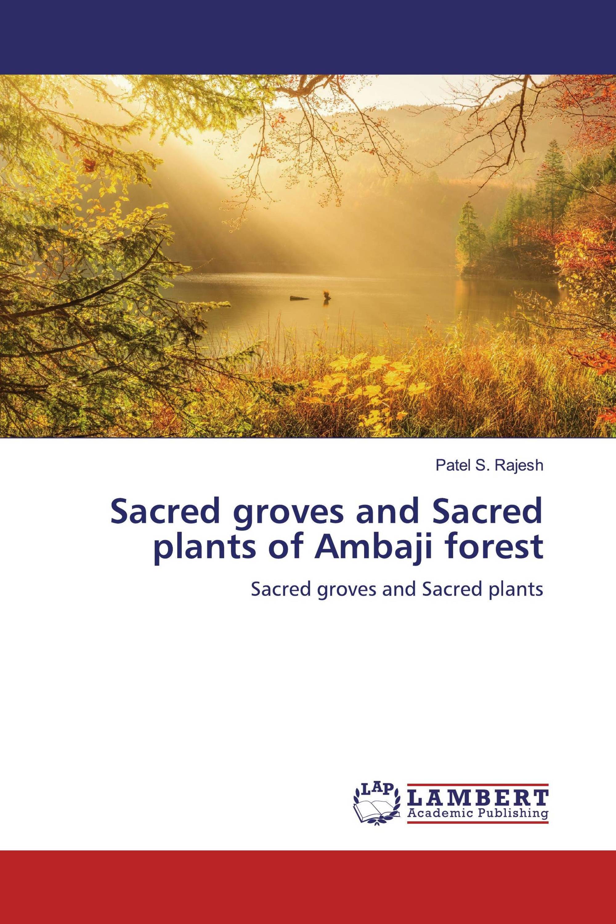 Sacred groves and Sacred plants of Ambaji forest