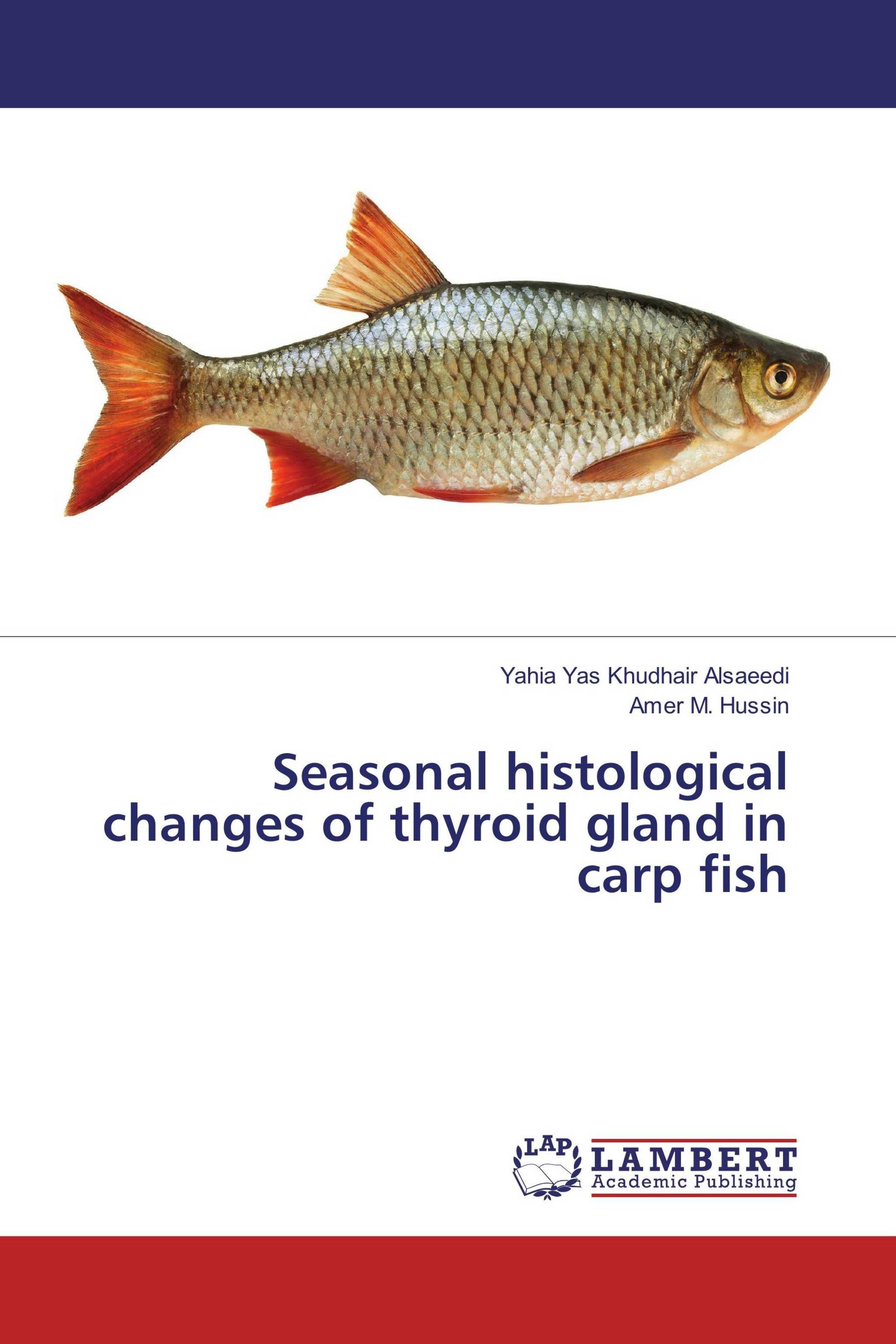 Seasonal histological changes of thyroid gland in carp fish / 9783659