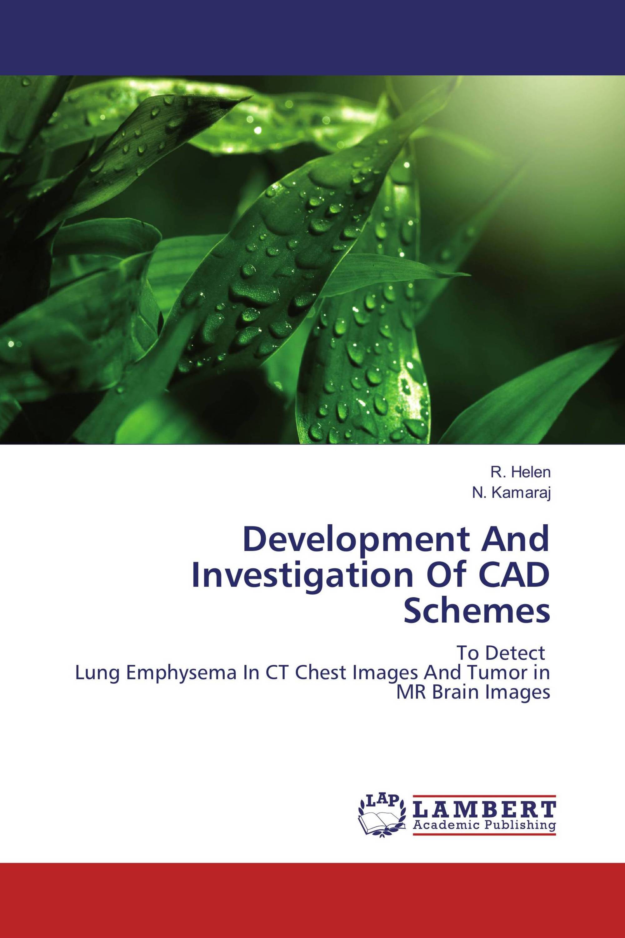 Development And Investigation Of CAD Schemes