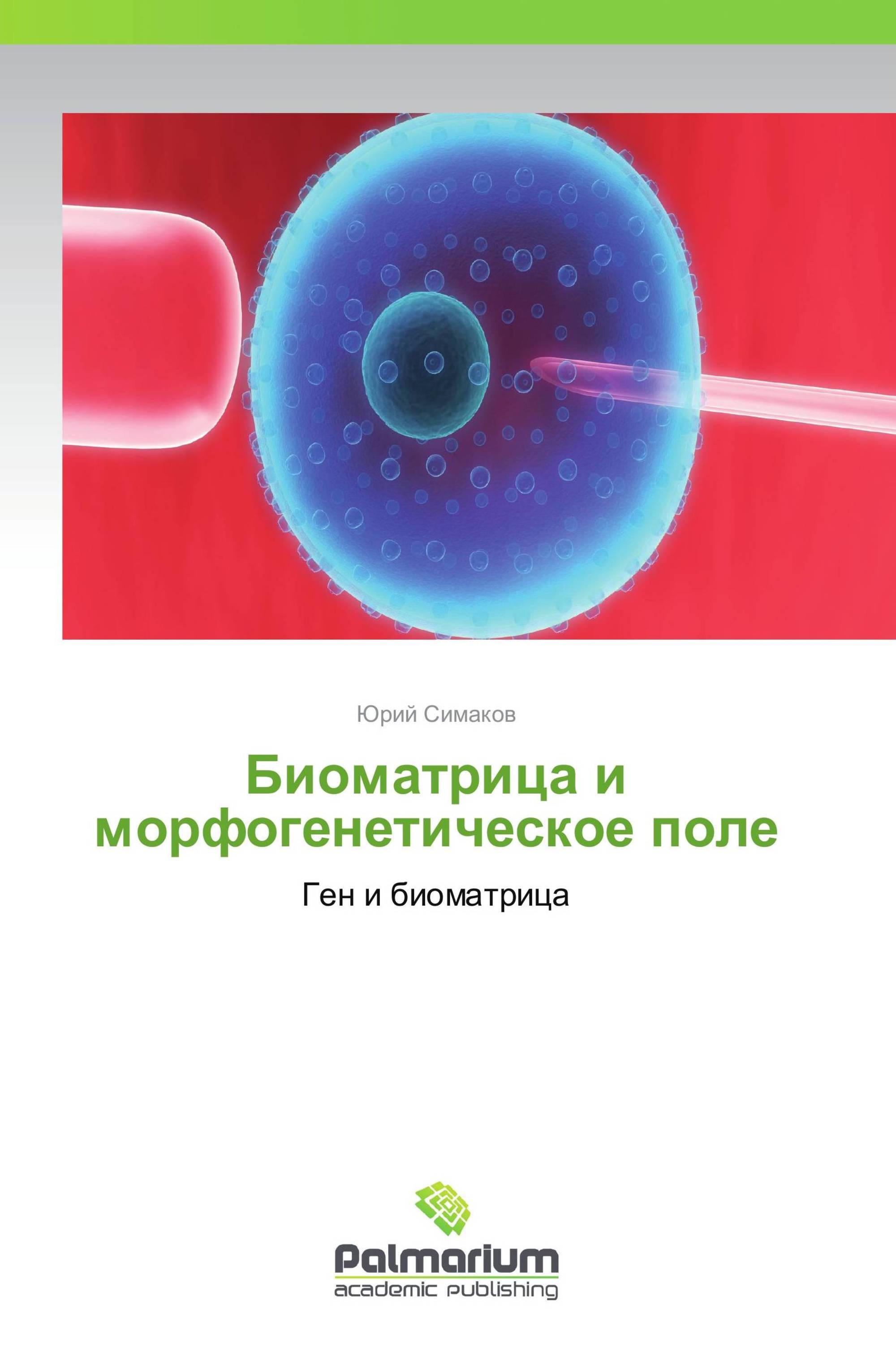 Поле гена. Теория морфогенетических полей. Концепция морфогенетических полей. Морфогенетические поля это в биологии. Теория морфогенетических полей биология.