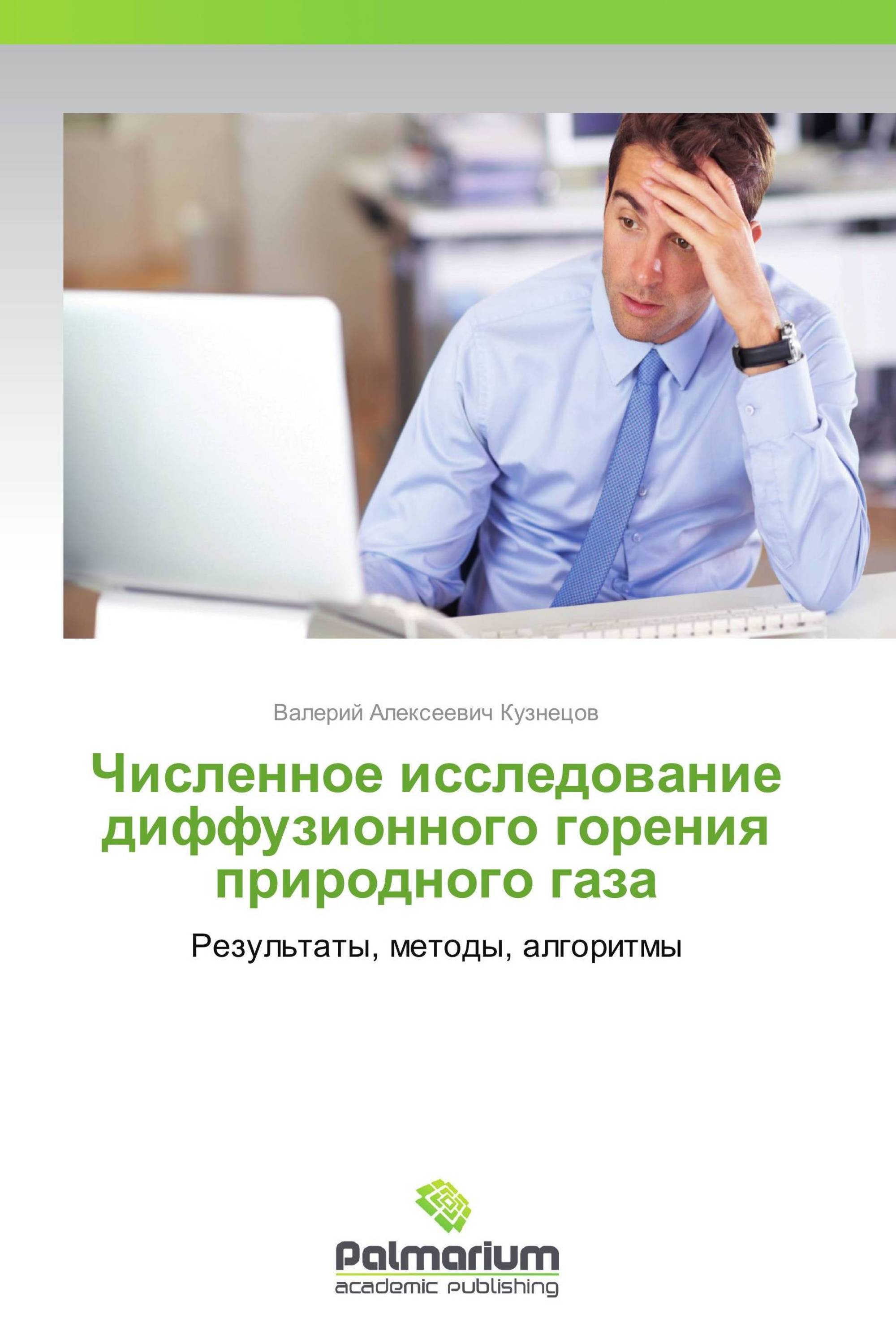 Численное исследование диффузионного горения природного газа