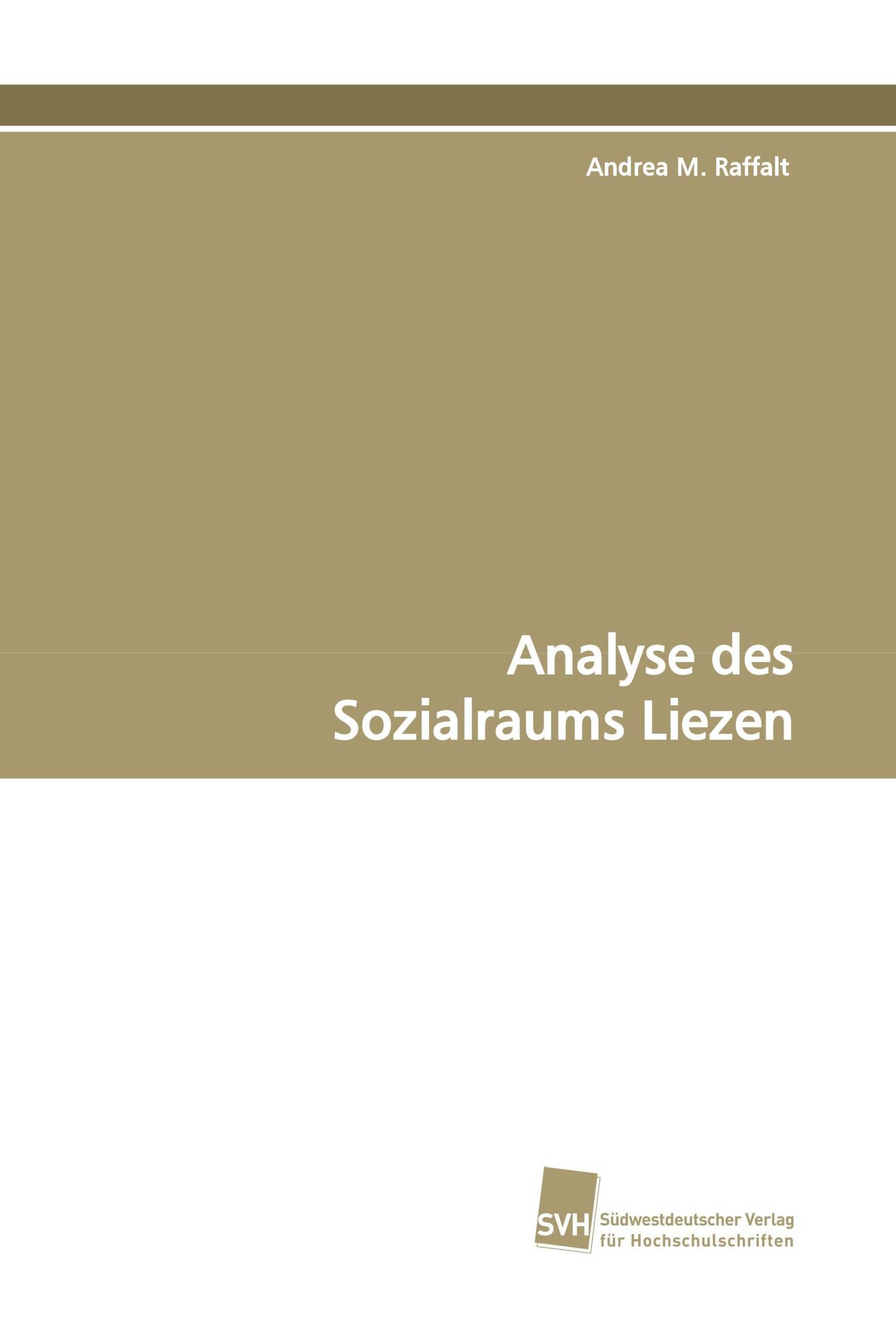 Analyse des Sozialraums Liezen