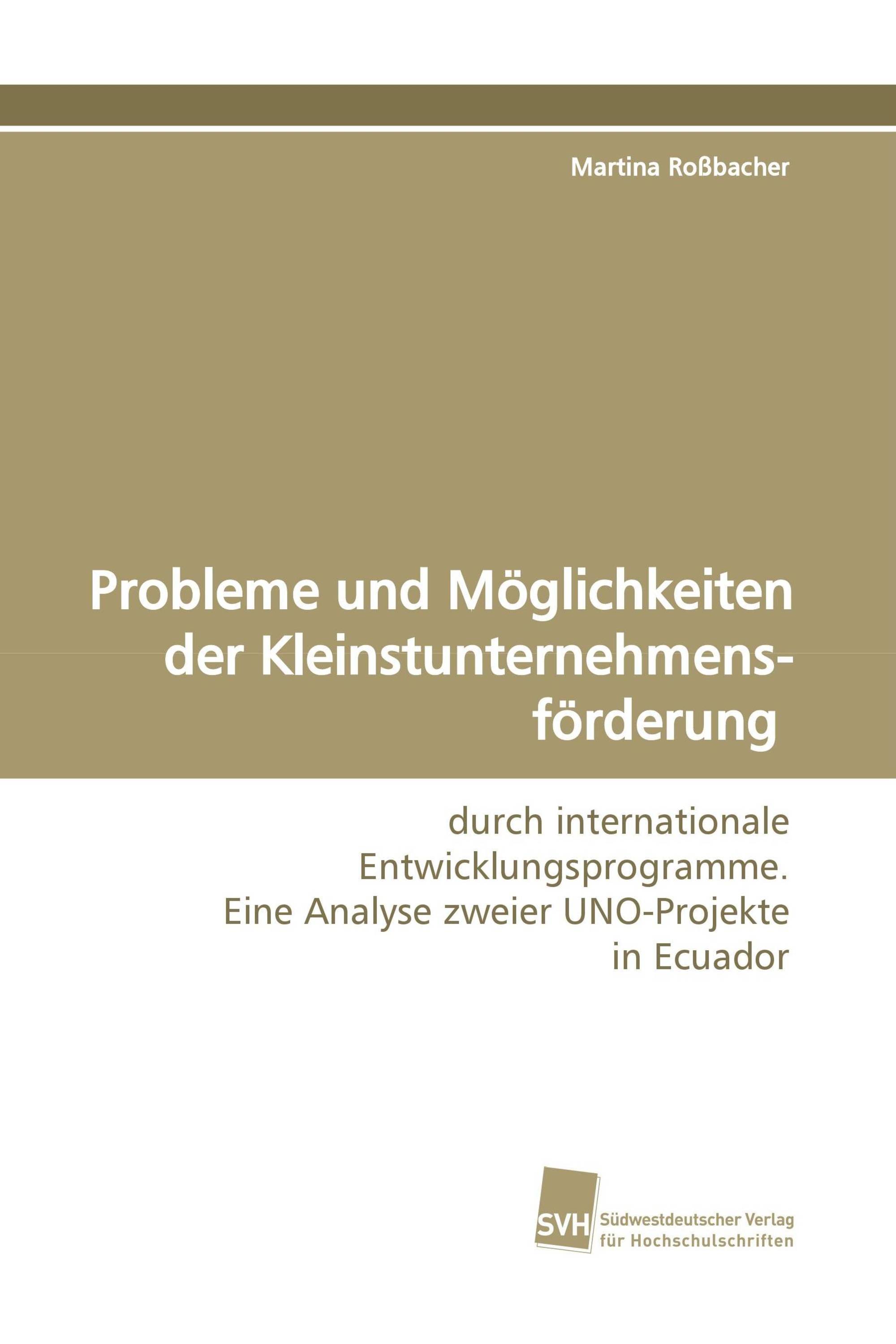 Probleme und Möglichkeiten der Kleinstunternehmensförderung